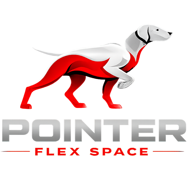 POINTER FLEX SPACE LLC