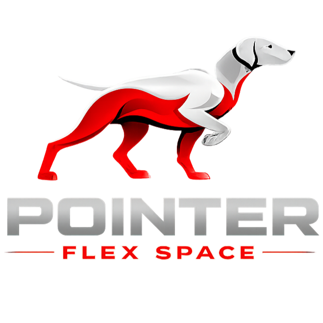 POINTER FLEX SPACE LLC