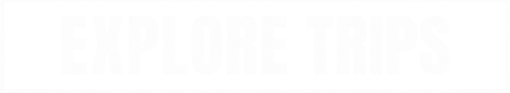 Faint gray text reading “EXPLORE TIPS” on a white background