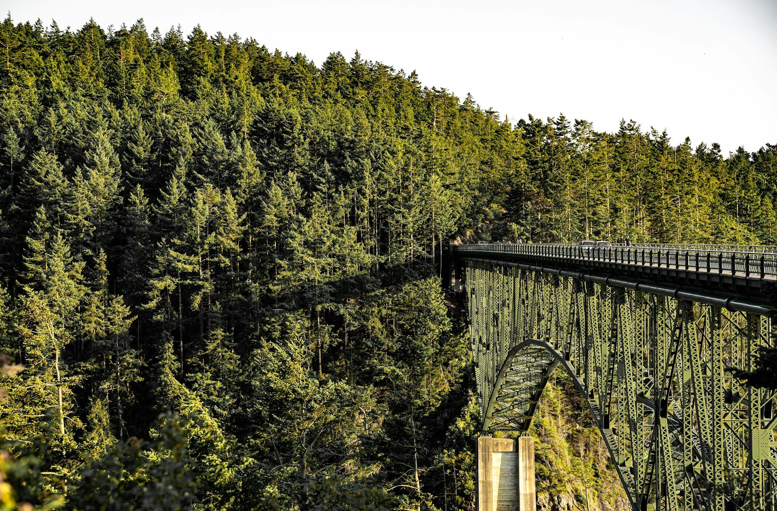 A steel bridge extends over a deep canyon surrounded by dense evergreen forest, with a person and vehicle visible on the bridge.