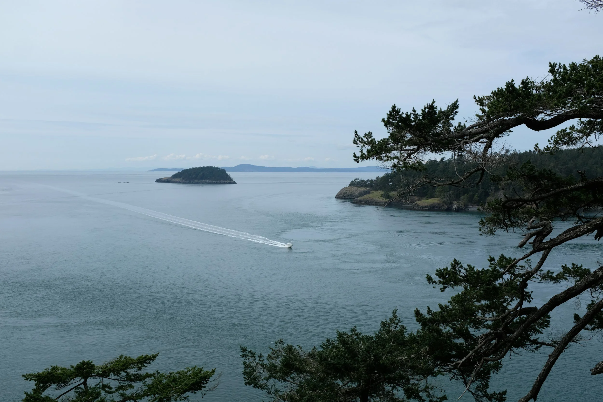 A scenic coastal view with a large ocean, a small island in the distance, and a boat speeding through the water leaving a wake. In the foreground, overhanging tree branches frame the scene.