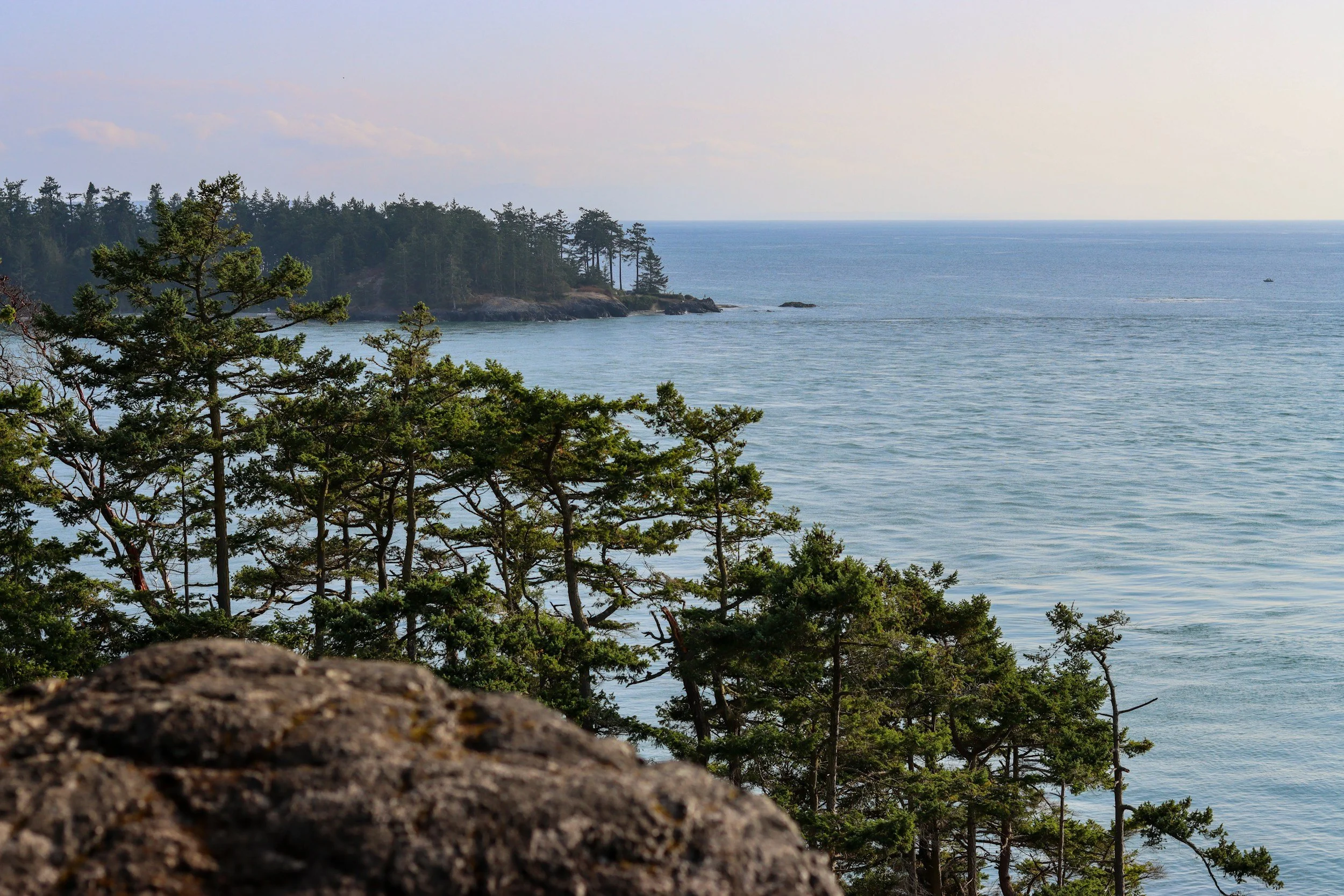 View of a rocky coastline with trees in the foreground and the ocean extending to the horizon under a cloudy sky.