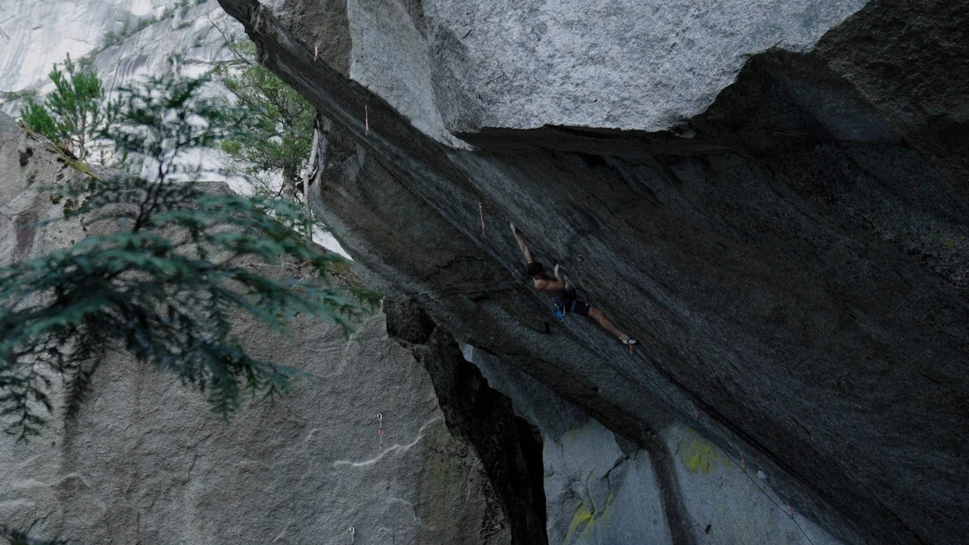 Mejdi-Angle.jpg