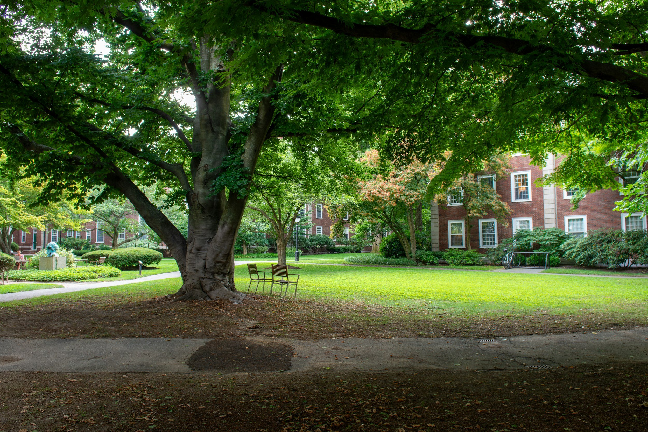A park with large green trees, benches, a well-maintained grassy area, and multi-story brick residential buildings in the background. Ivy League Schools in Summer.