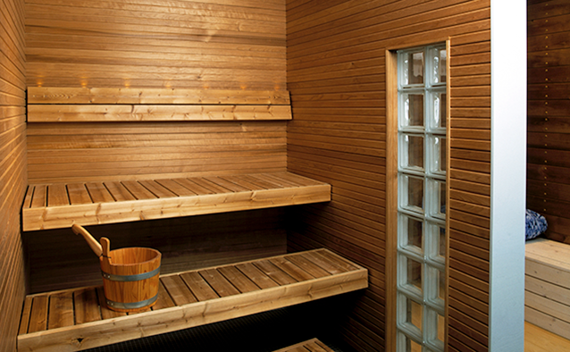 Sauna, jonka lauteilla kiulu