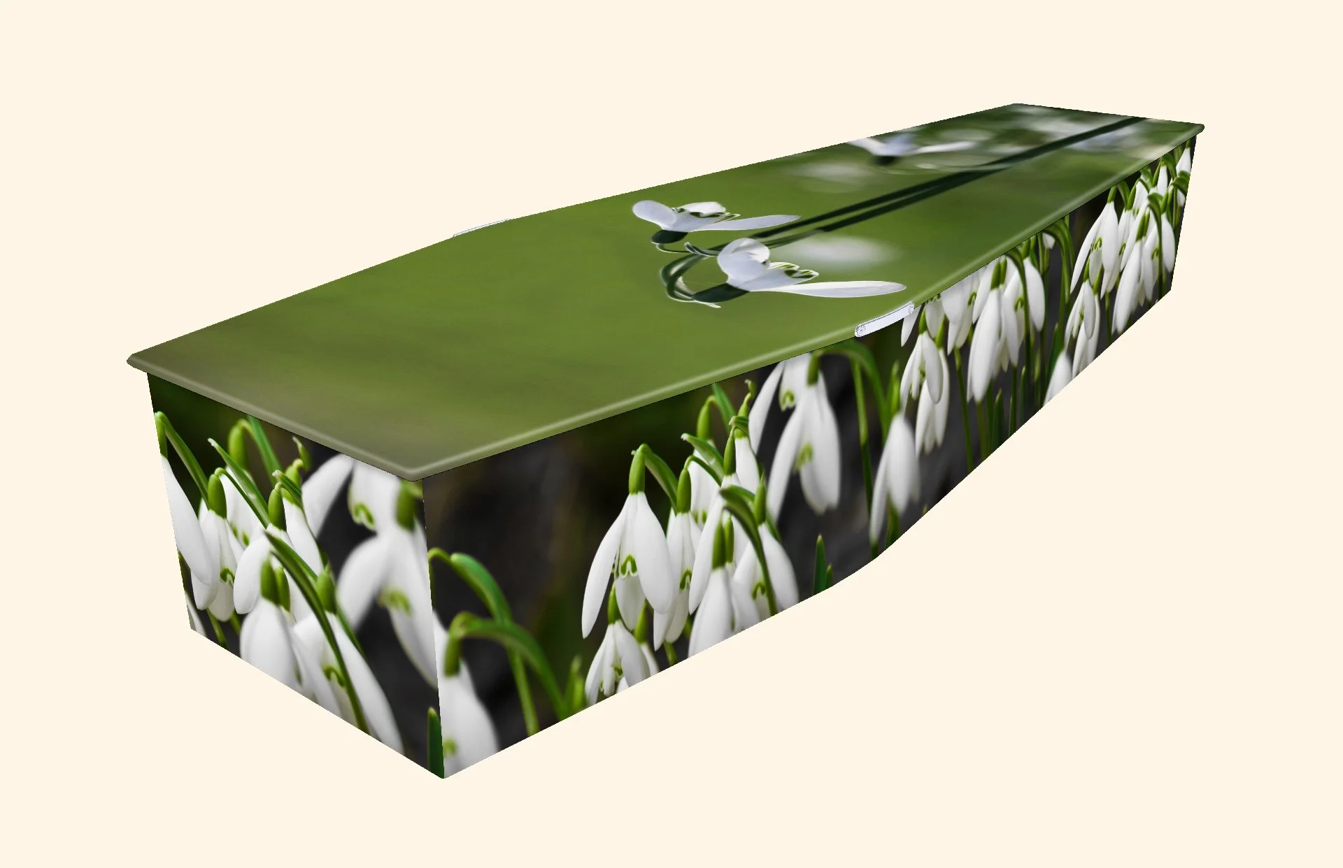 A rectangular box decorated with an image of snowdrop flowers, with a green top surface showing water droplets and an outer surface featuring a pattern of snowdrop flowers.