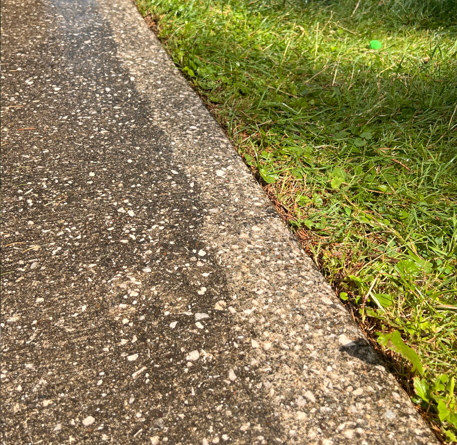 Close-up of a concrete sidewalk next to a grassy lawn with green grass and some small plants.