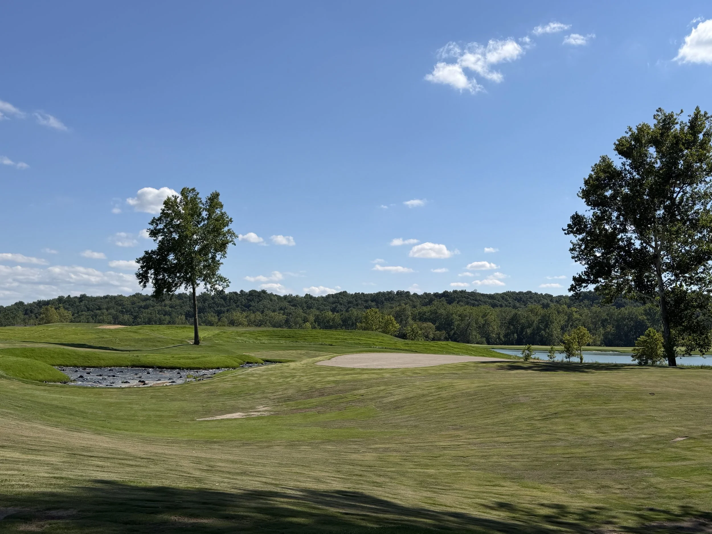 IMG_7067.jpeg
