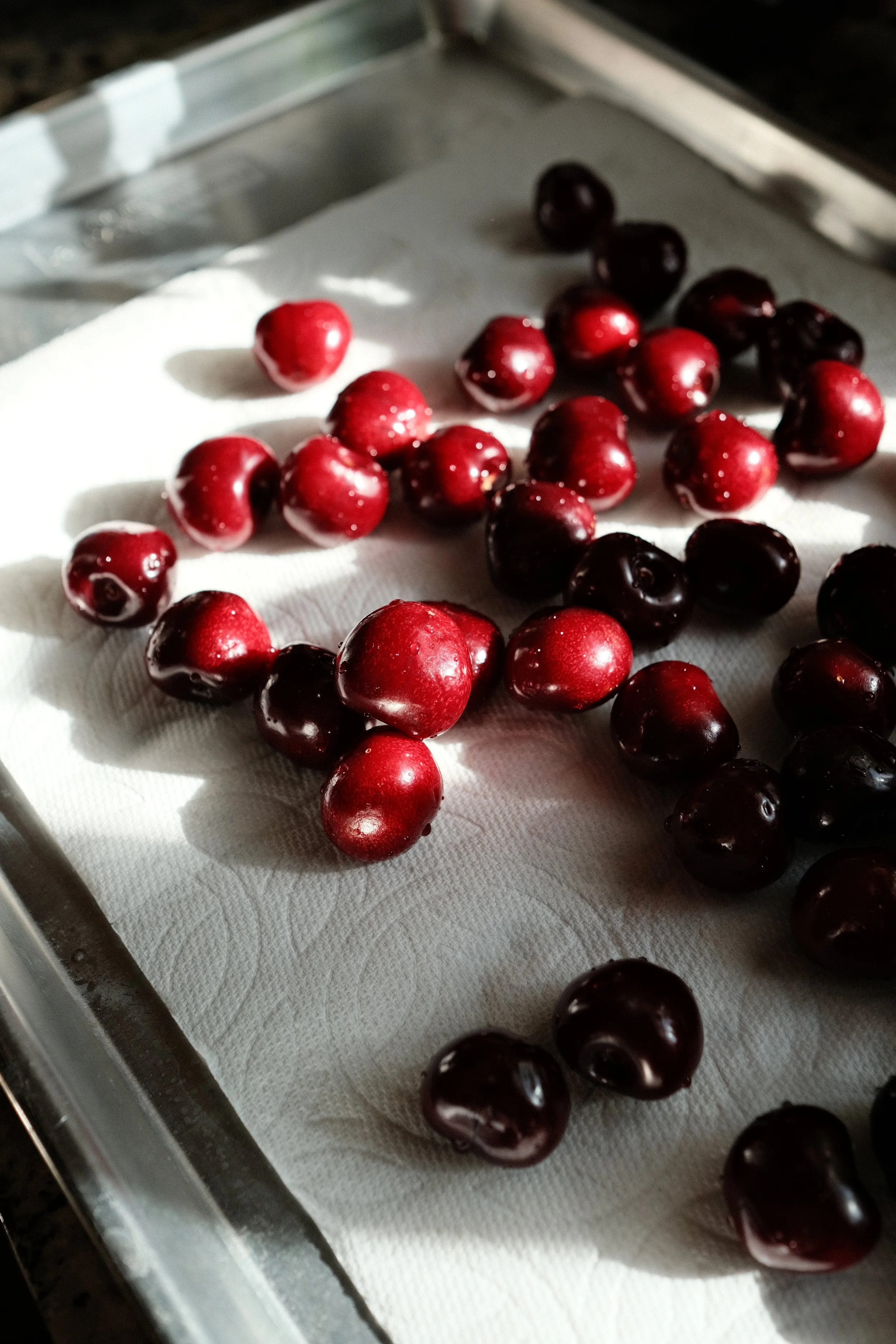 A tray of fresh cherries, some red and some dark purple, placed on a white paper towel with sunlight casting shadows.