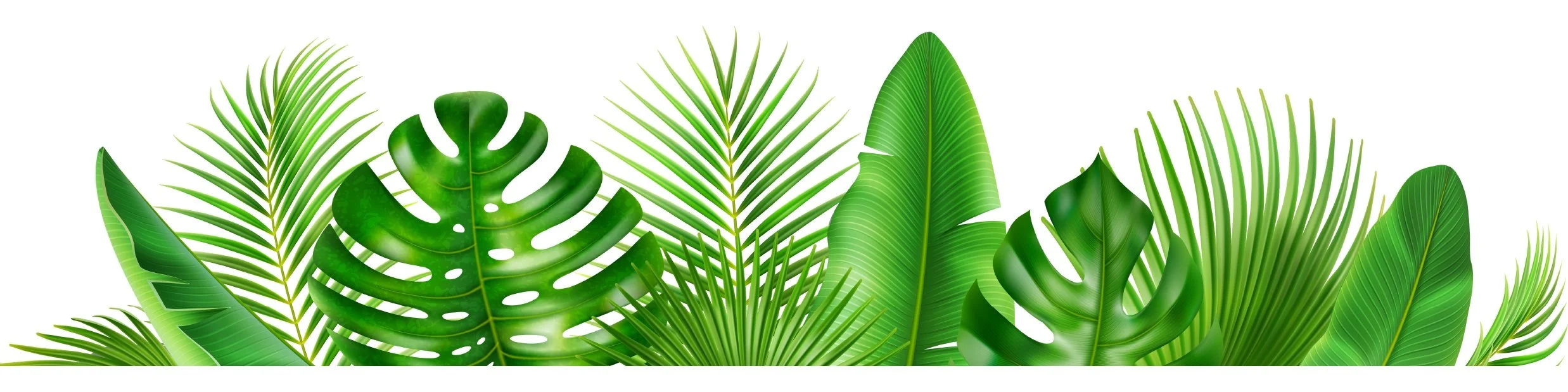 intelligent singles palm beach