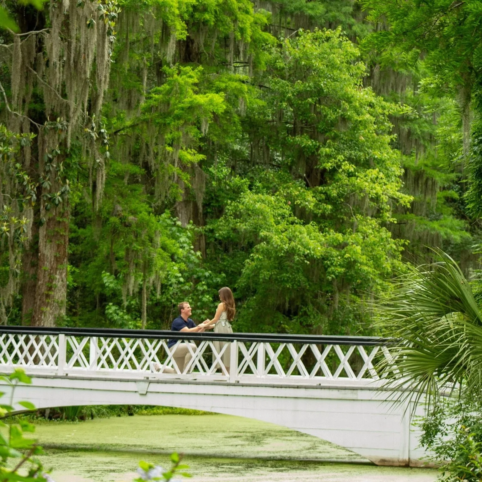 A Lowcountry Proposal