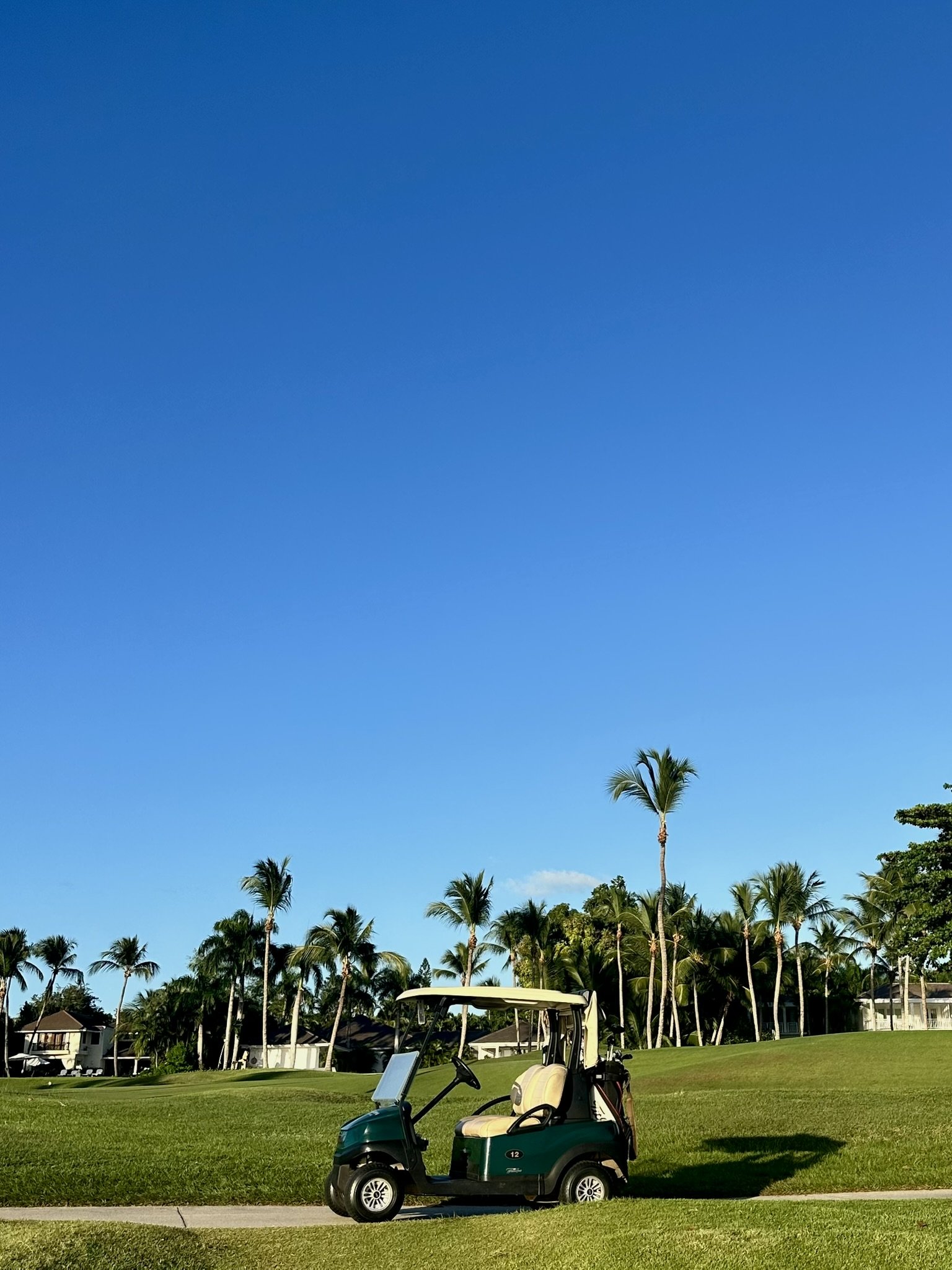 A green golf cart parked on a grassy area with palm trees in the background under a clear blue sky.
