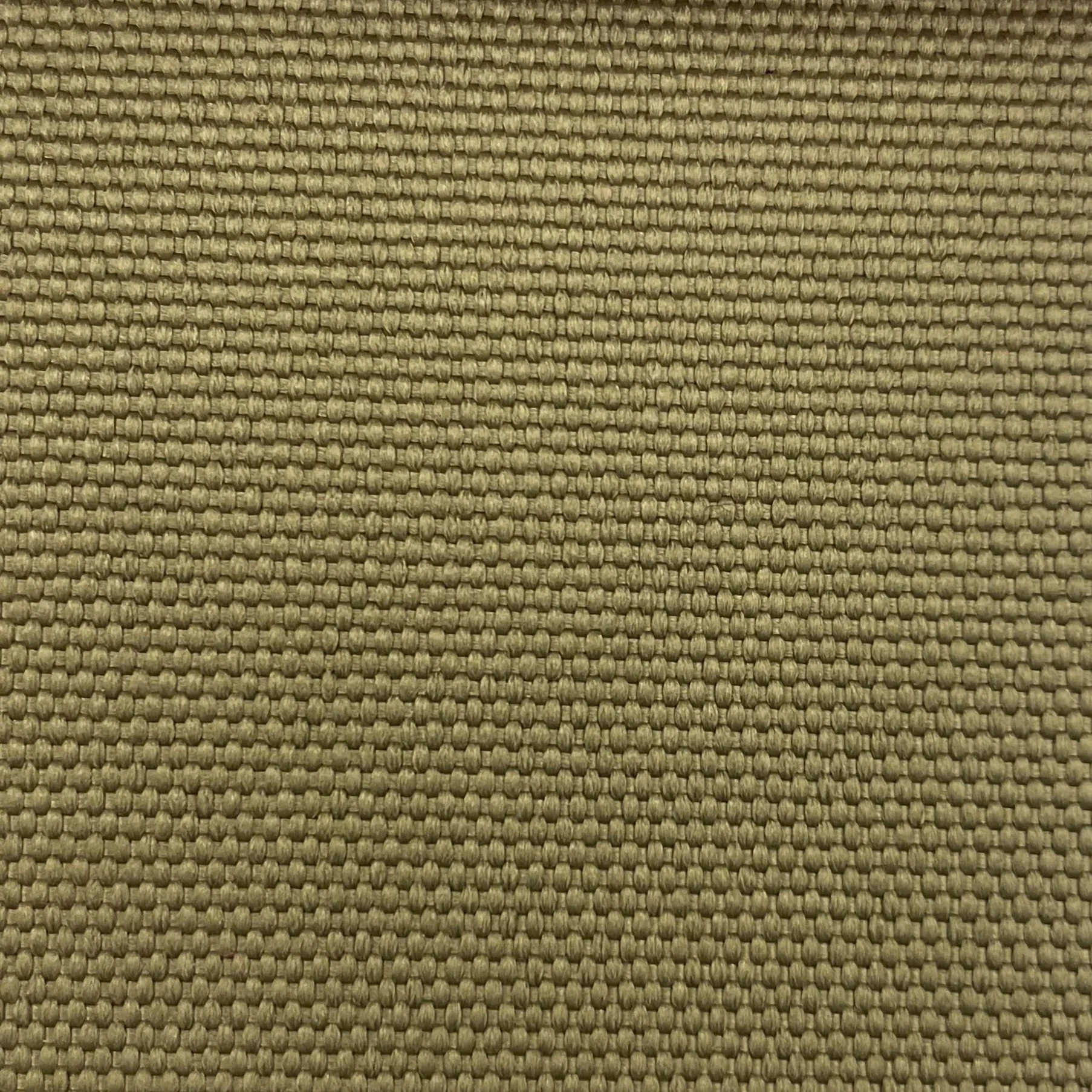  Color #38 