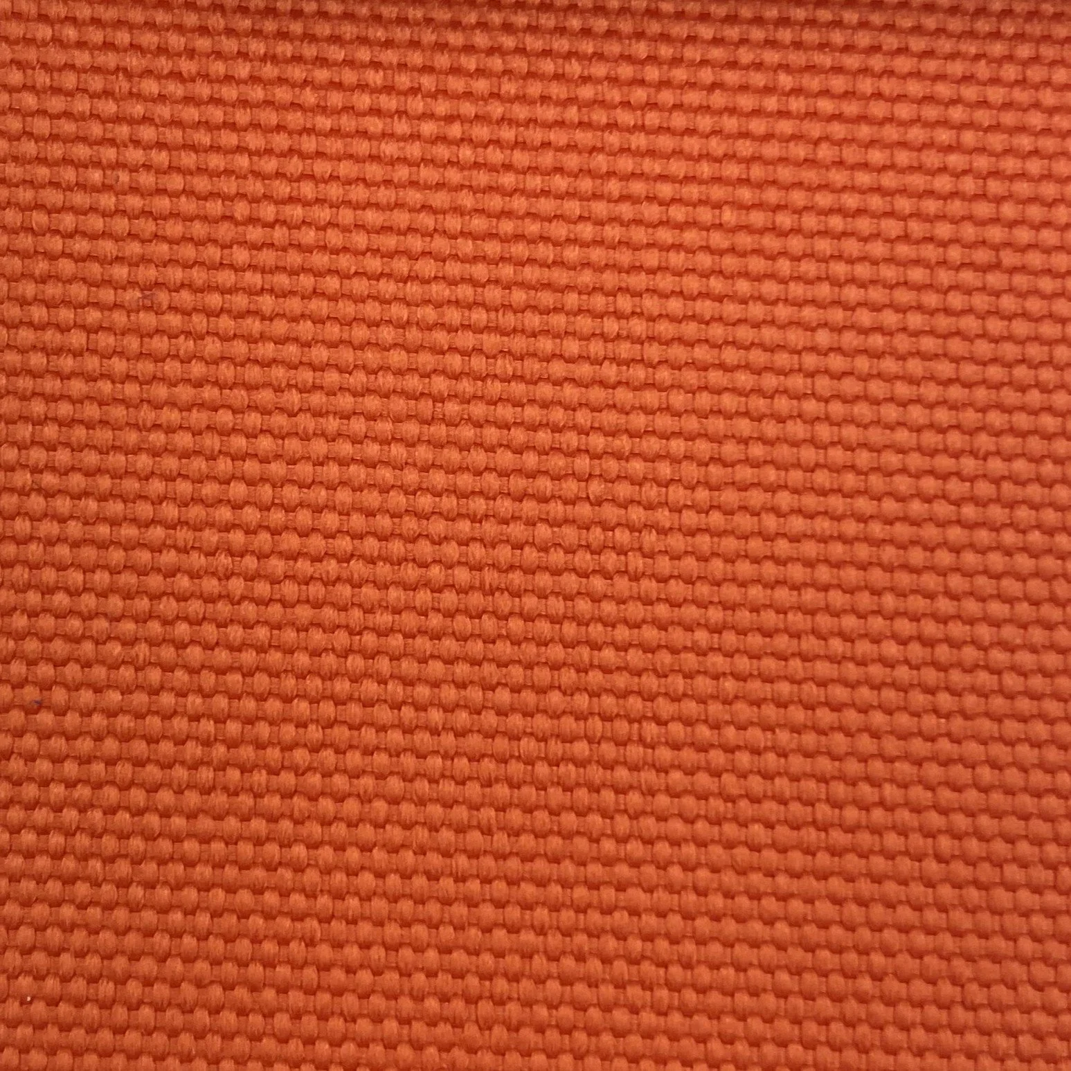  Color #8 
