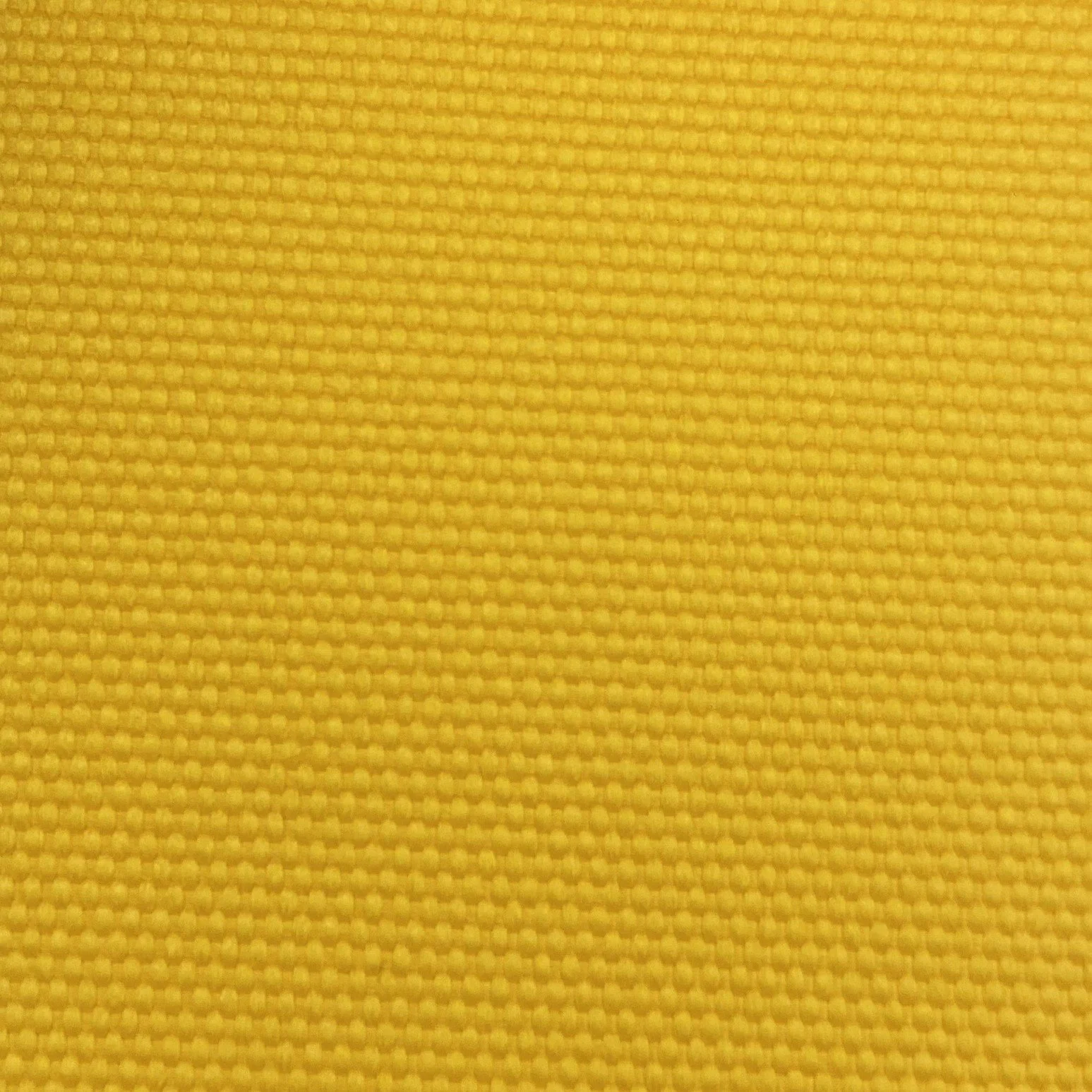  Color #7 