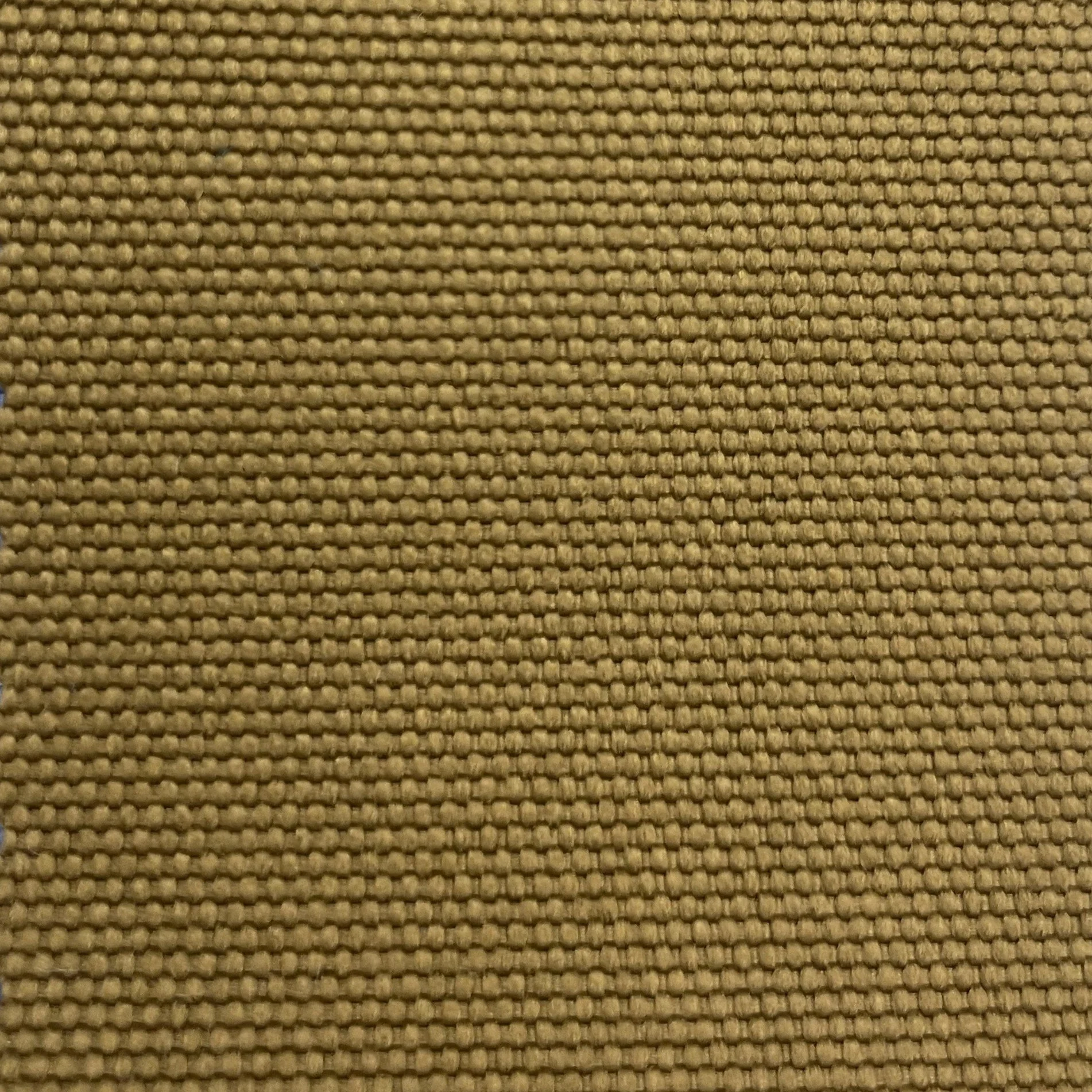  Color #101 