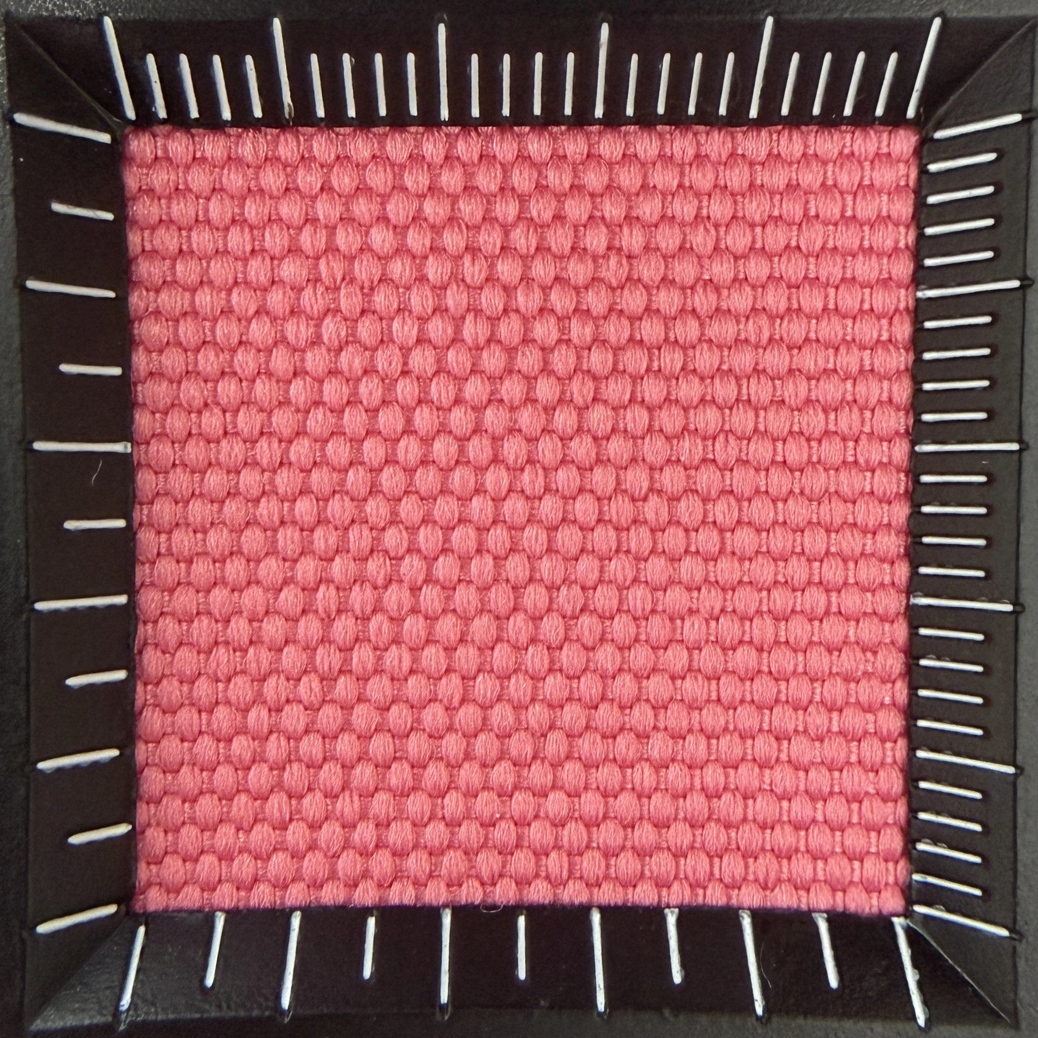 DS-5556 L.jpg