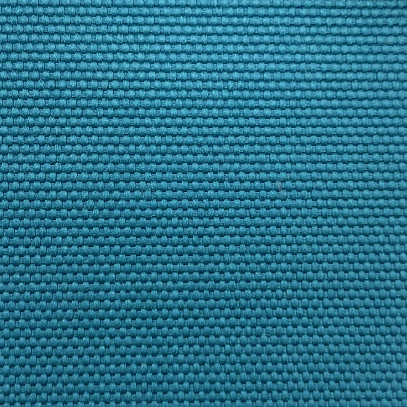  Color #81 