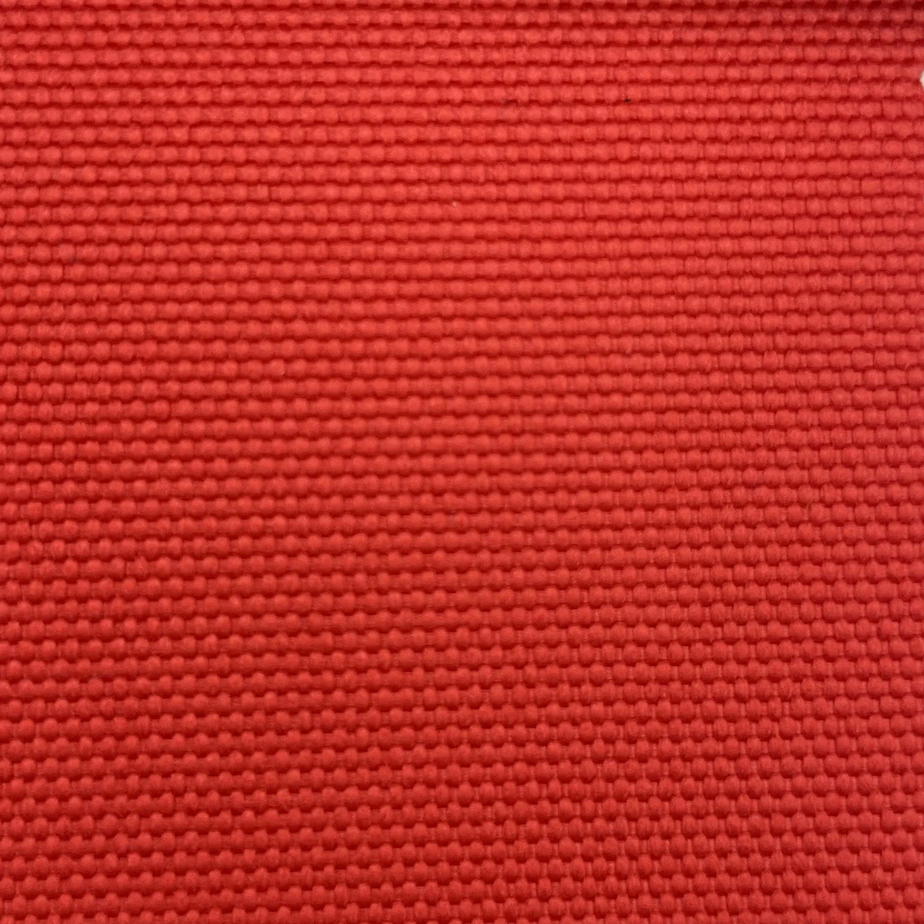  Color #43 
