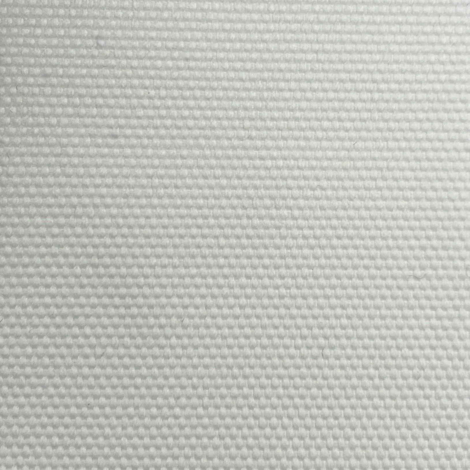  Color #1 
