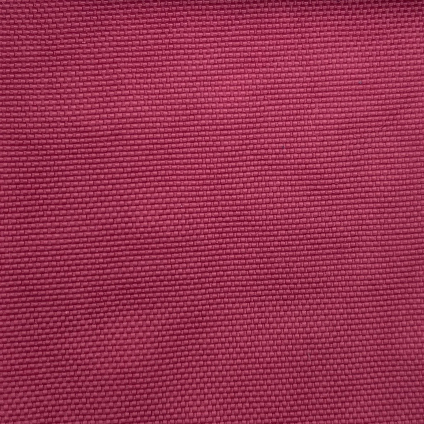  Color #25 