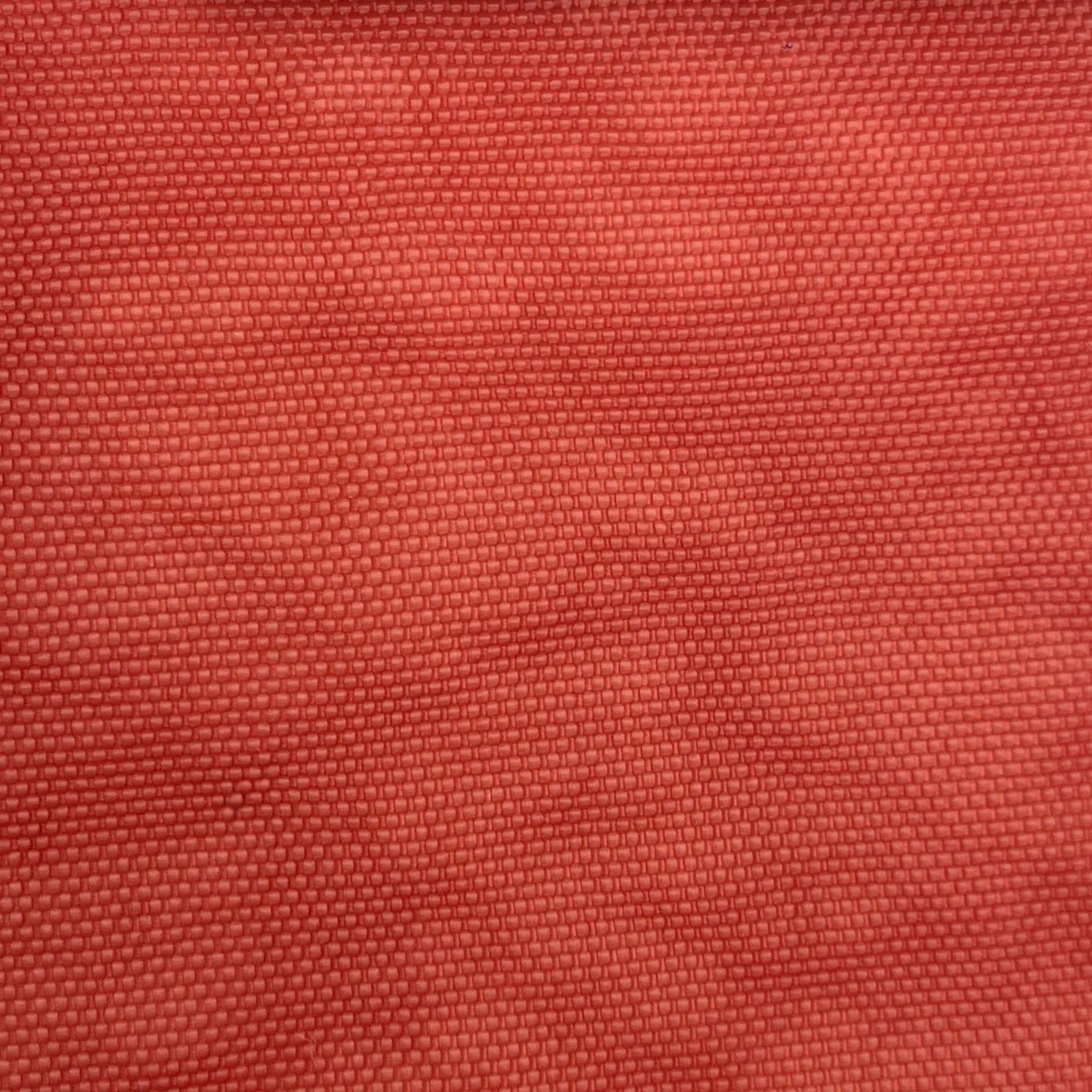  Color #43 