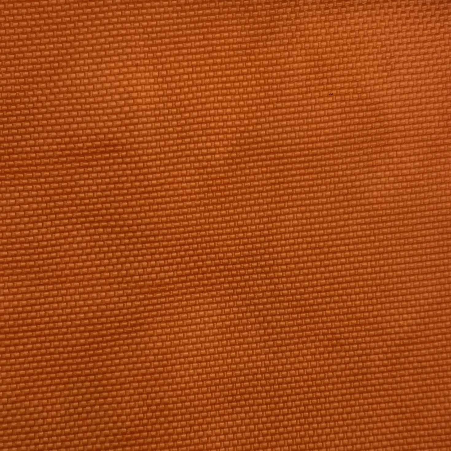  Color #8 