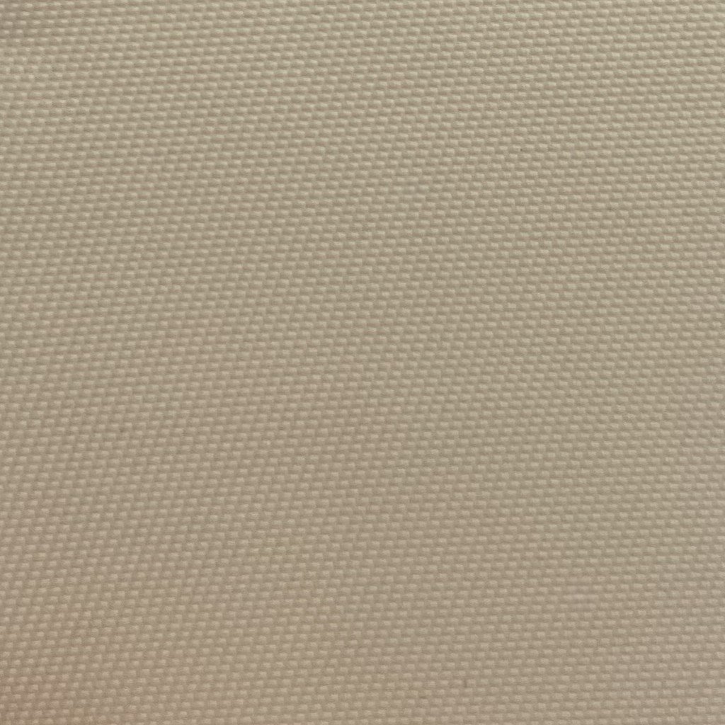  Color #1 