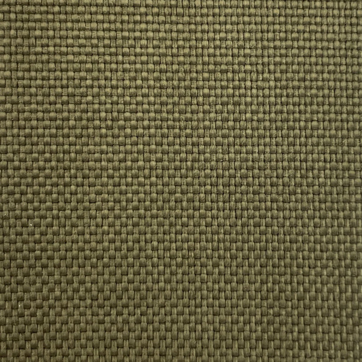  Color #49 
