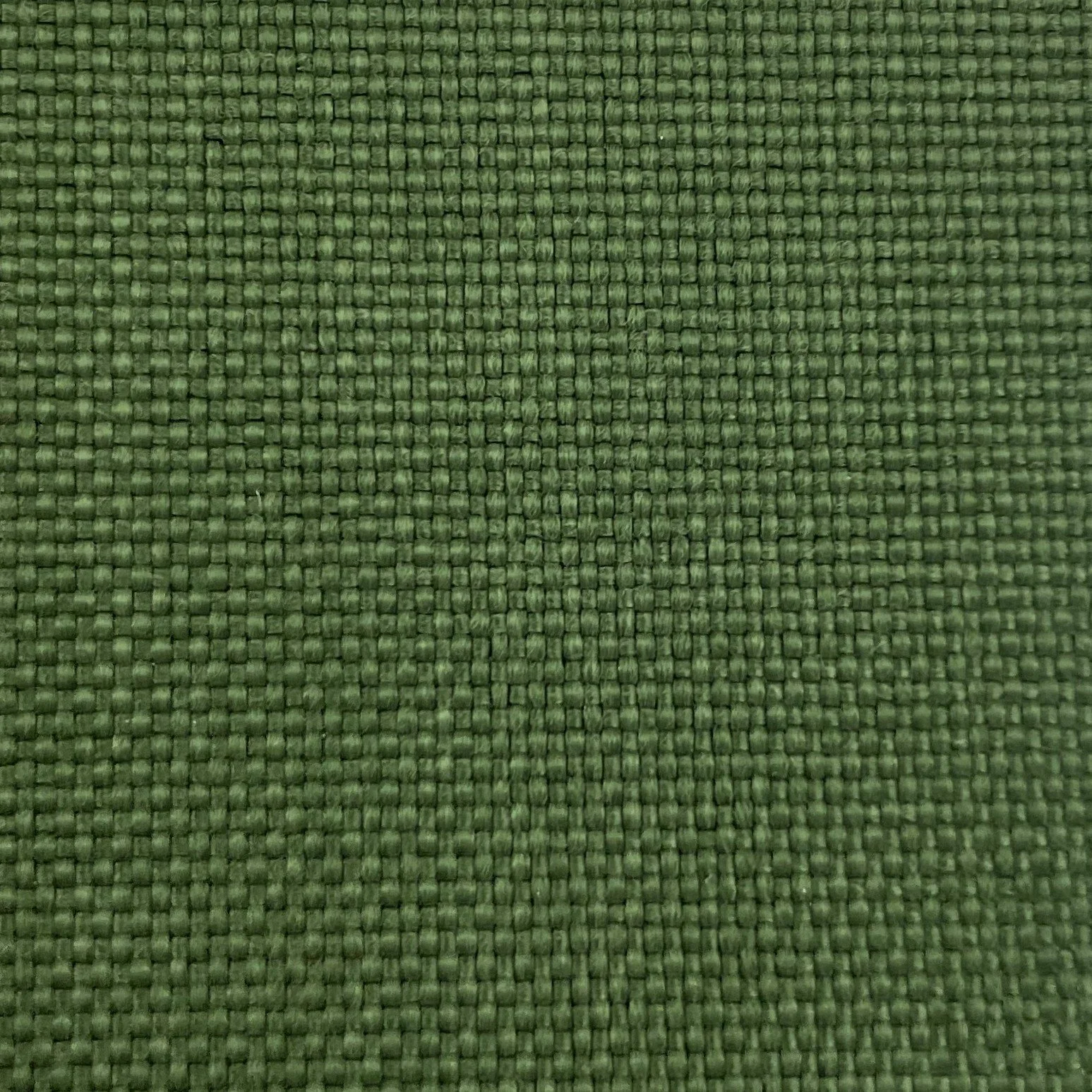  Color #50 