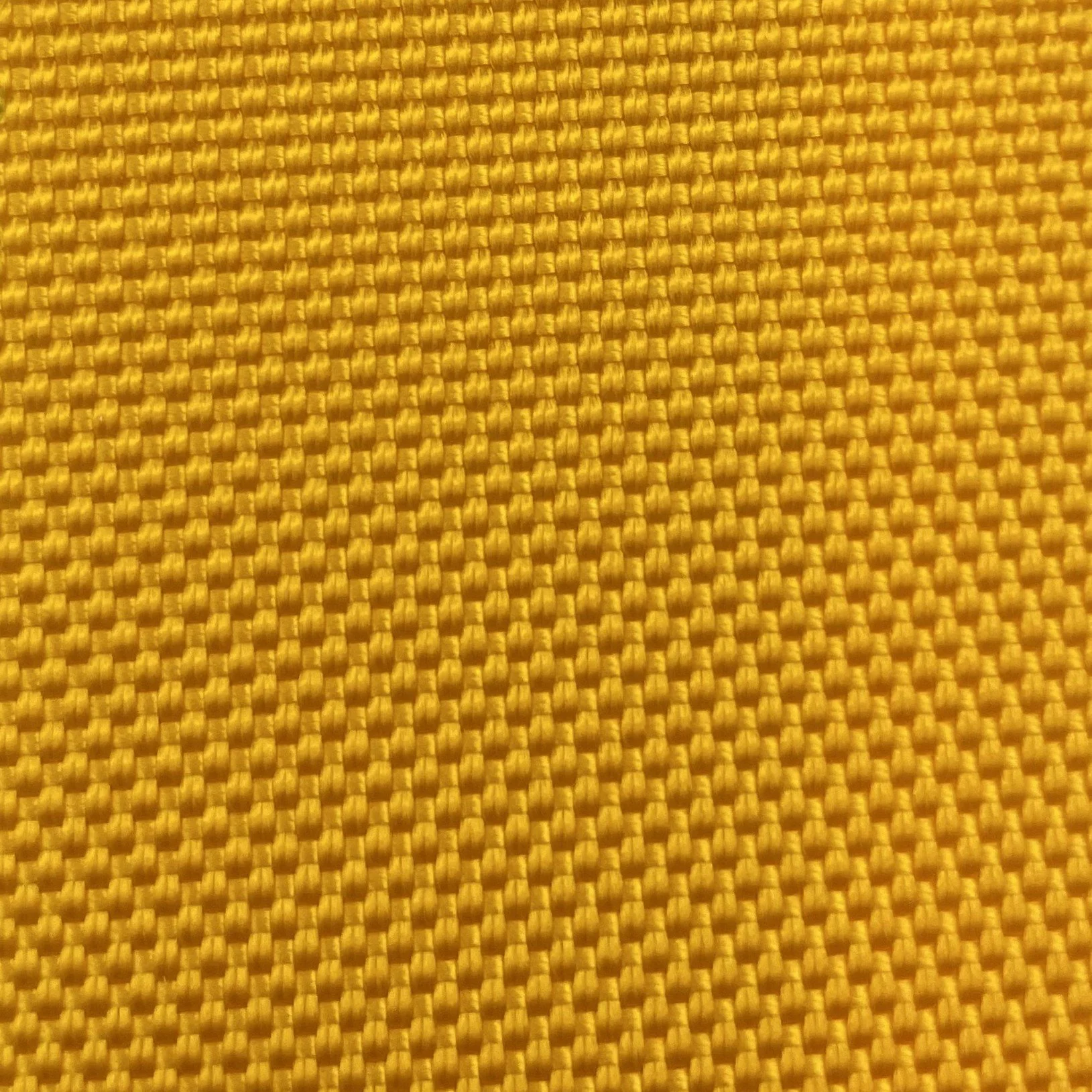  Color #7 