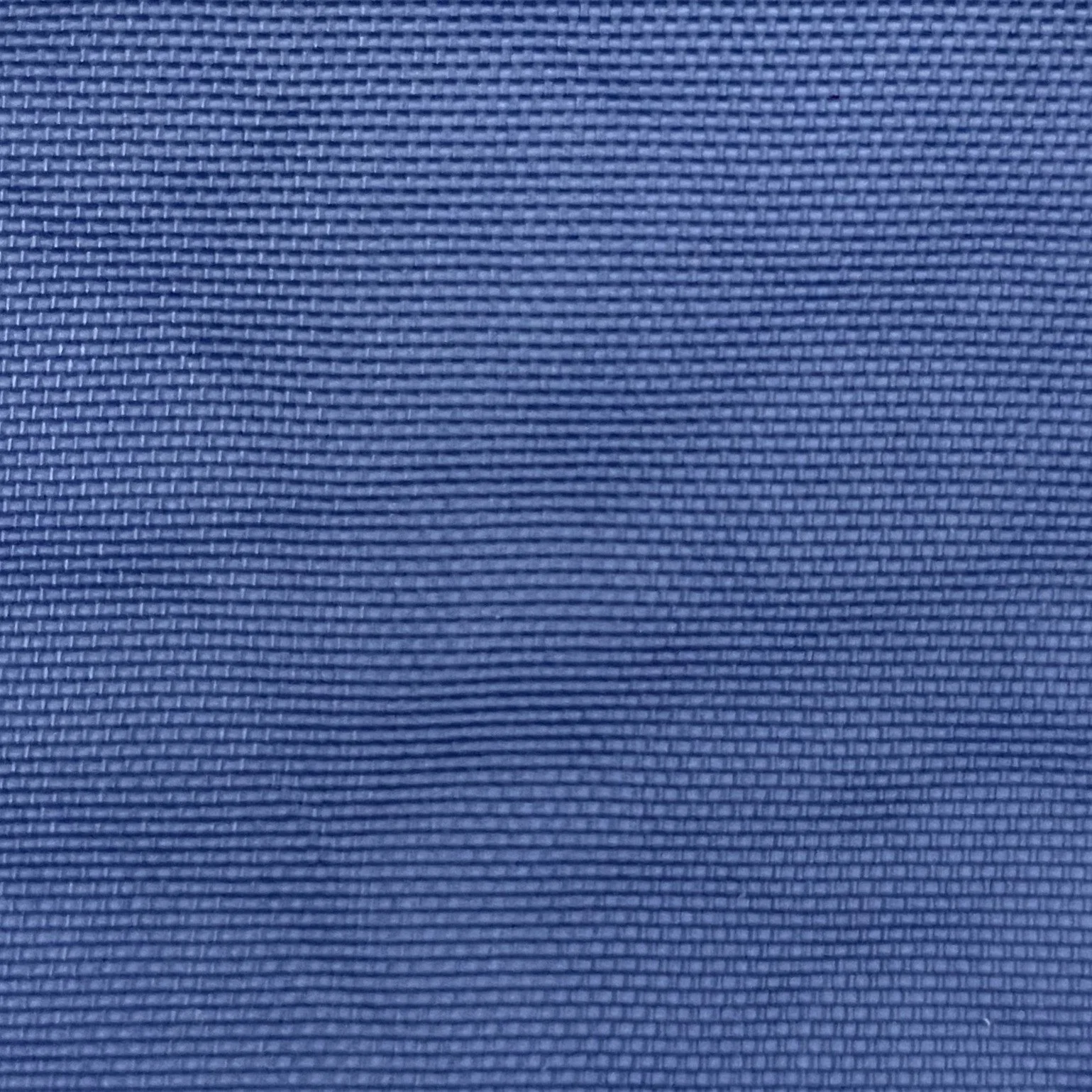  Color #81 