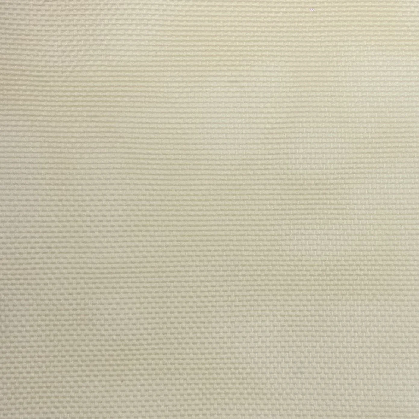  Color #3 
