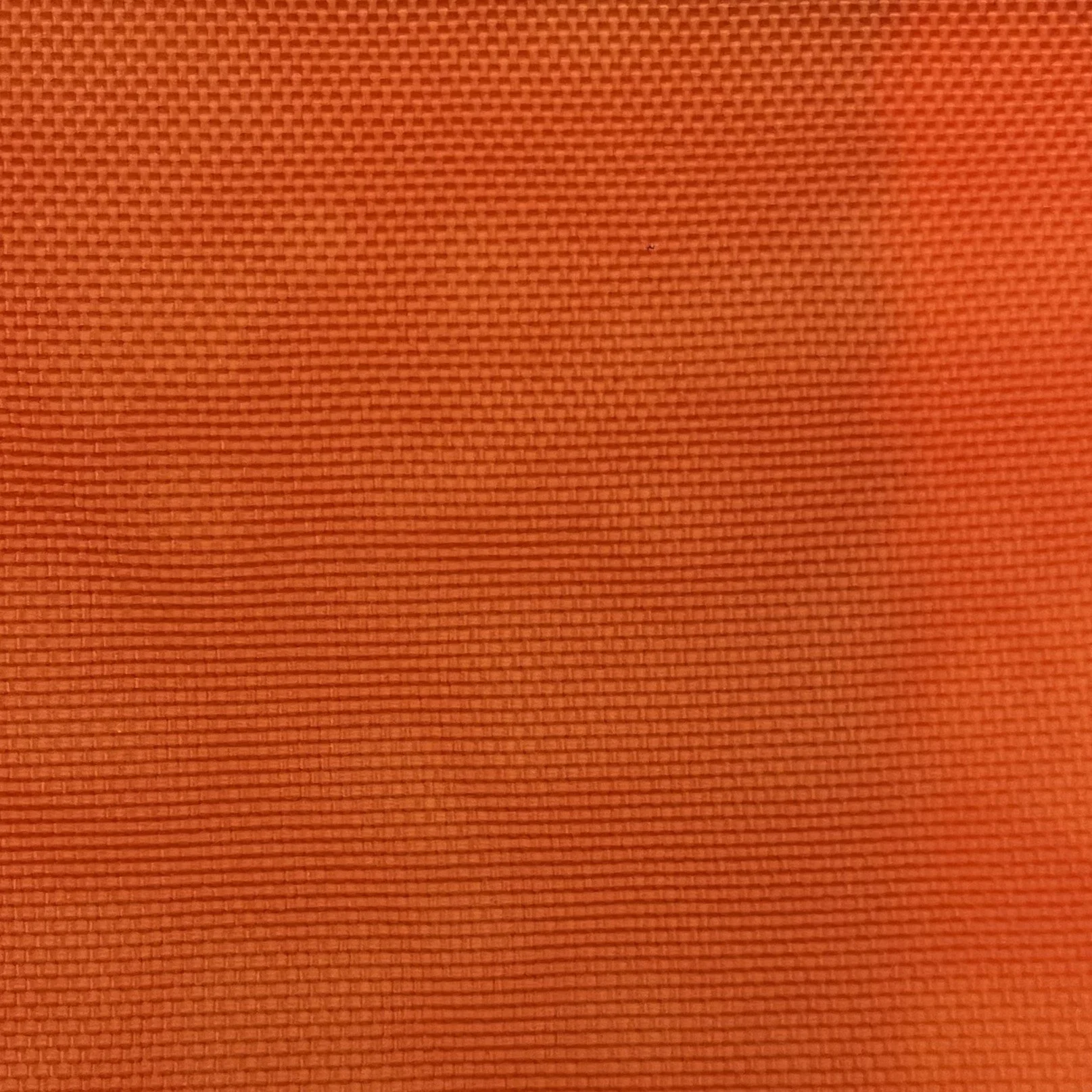  Color #10 
