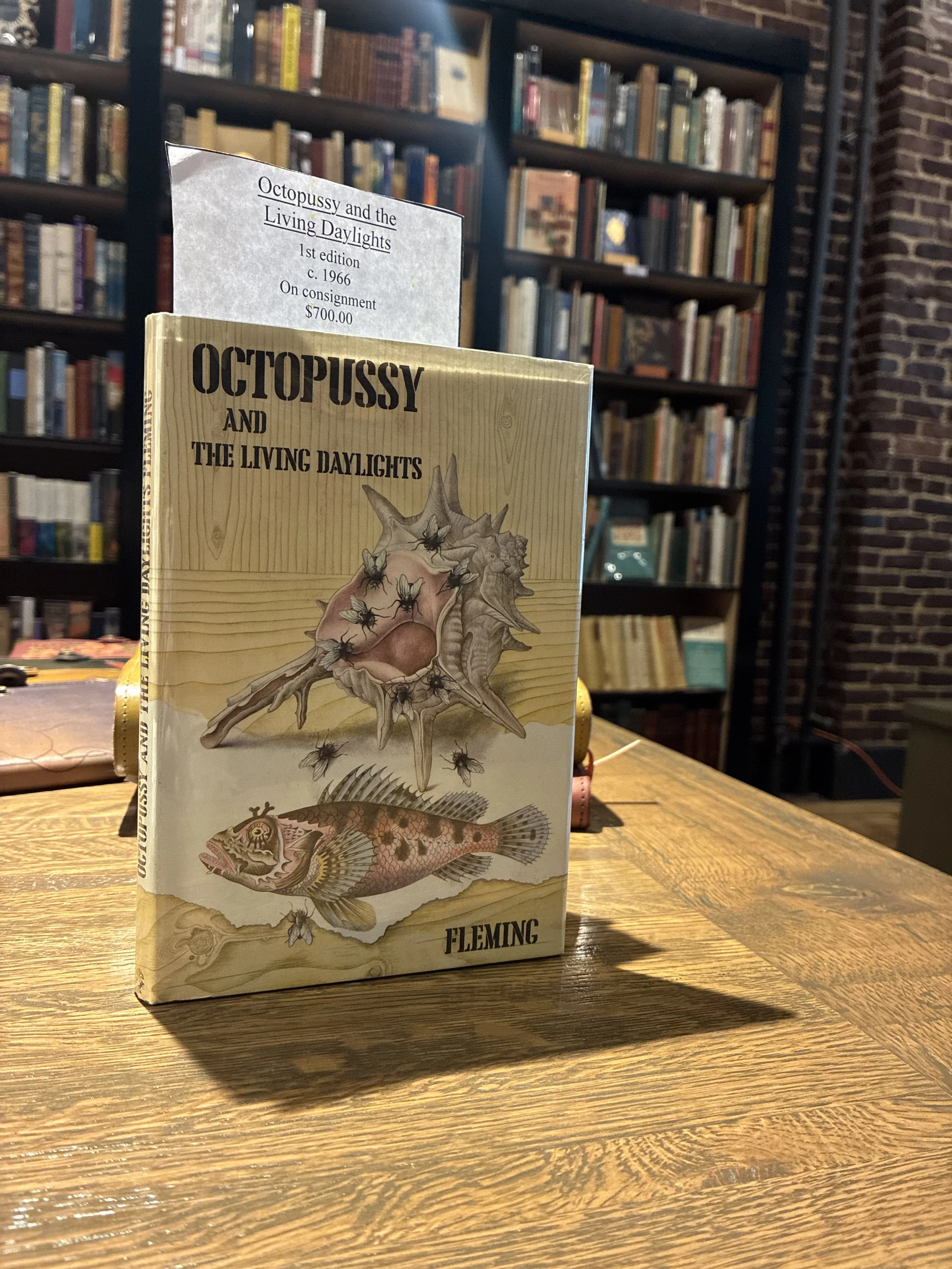 80841767286__8D372823-39A7-4B81-A54D-5776031B6345.jpeg