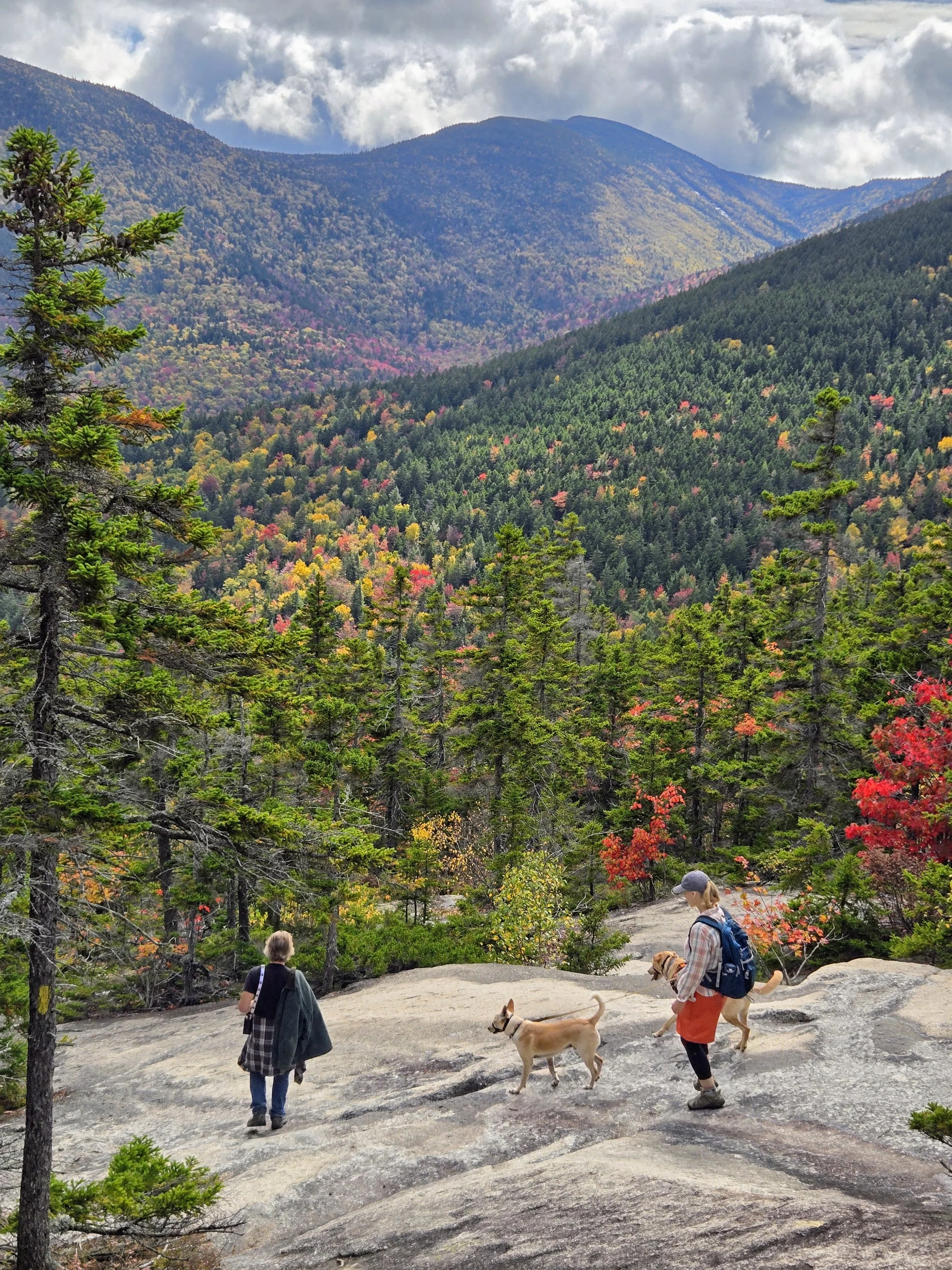 People walking on a rocky trail in a forested mountain area during autumn. The scene includes an adult wearing a plaid shirt and red pants walking dogs, and a child in black clothing with a backpack. The landscape features colorful fall foliage, green trees, and mountain peaks under a cloudy sky.