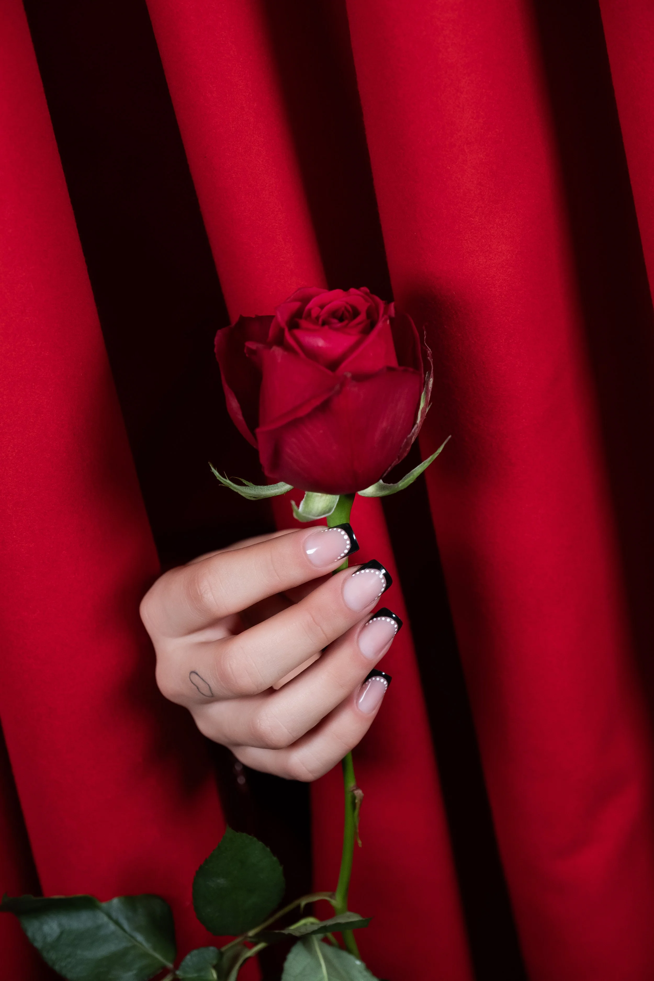 Una mano con unghie decorate con pois bianchi tiene in mano una rosa rossa davanti a un drappo rosso.