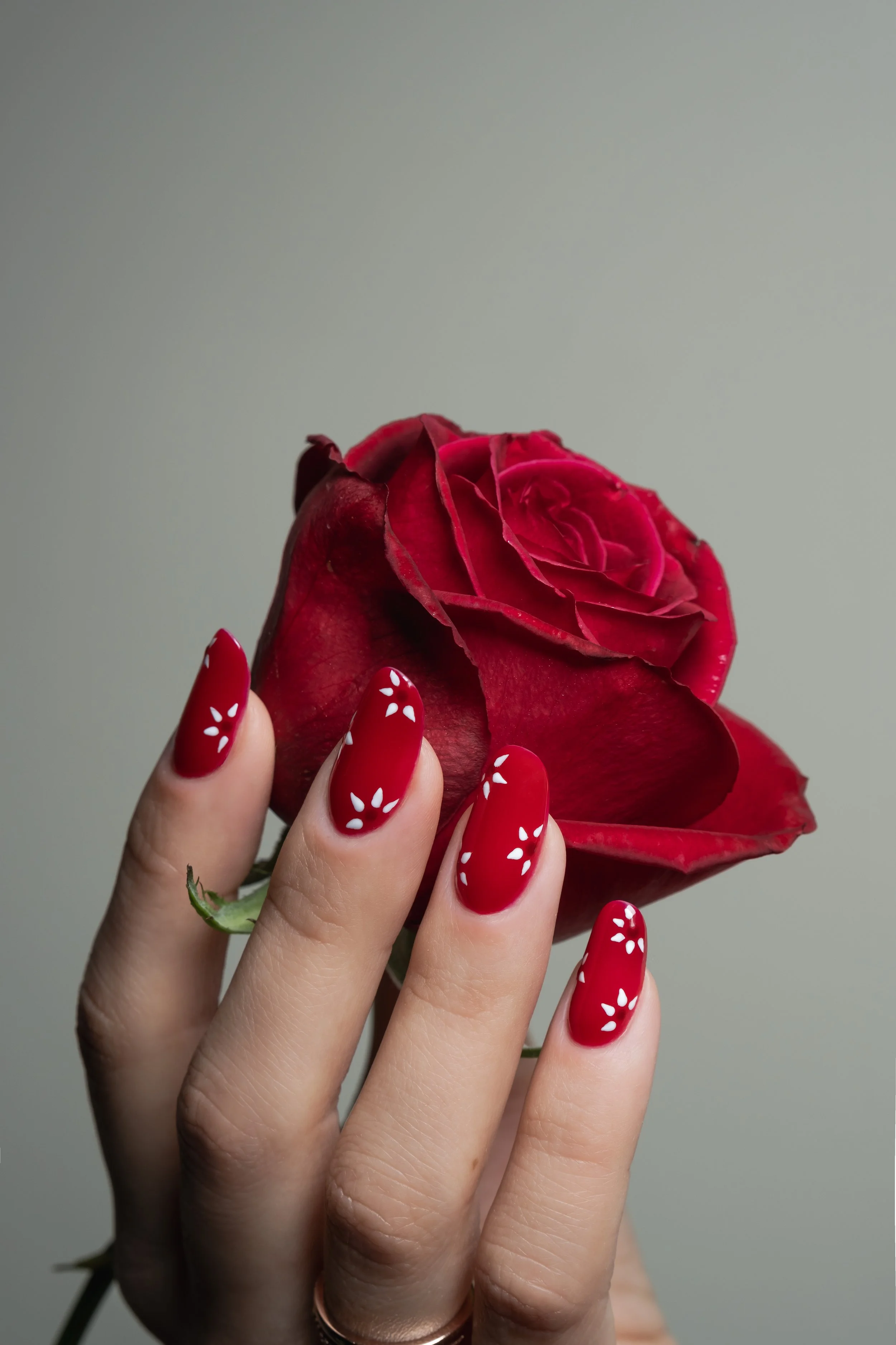 Dita con unghie rosse decorate con pois bianchi che tiene un fiore di rosa rosso