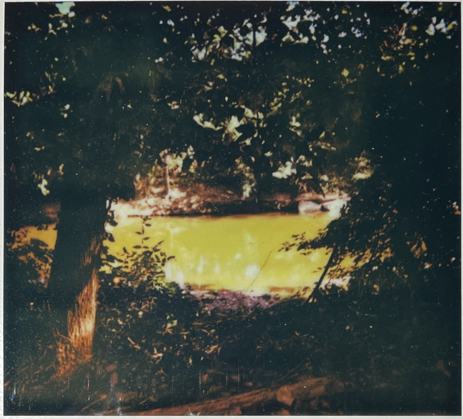 IMG_0328.png