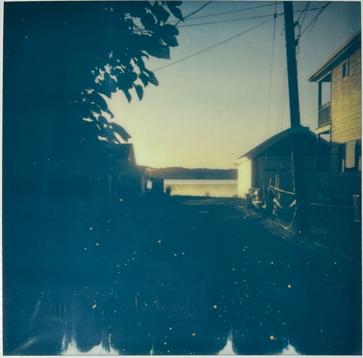 IMG_0329.png