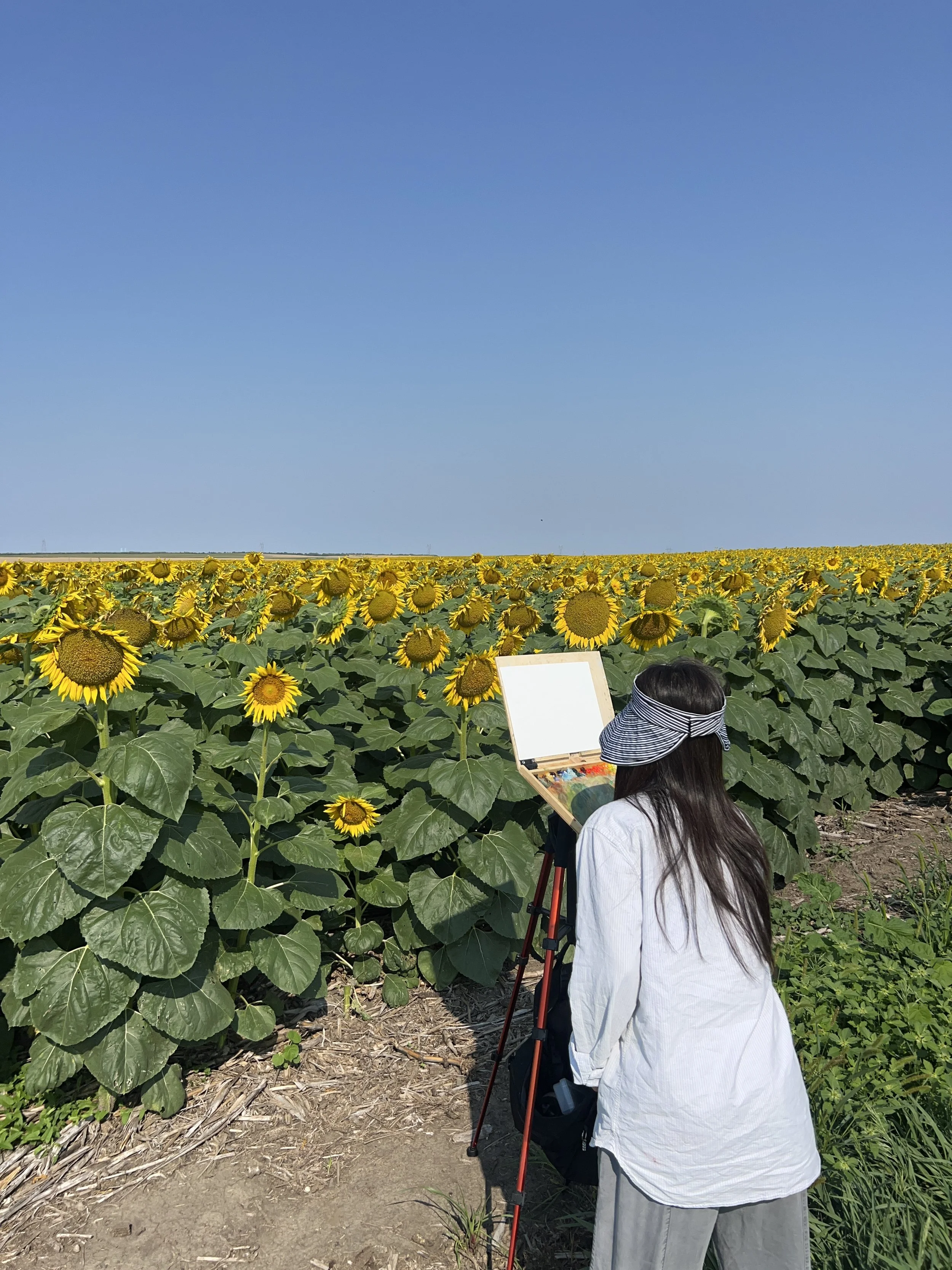 A woman with long dark hair, wearing a white shirt and a sun visor, is painting on a canvas set on an easel in a sunflower field under a clear blue sky.