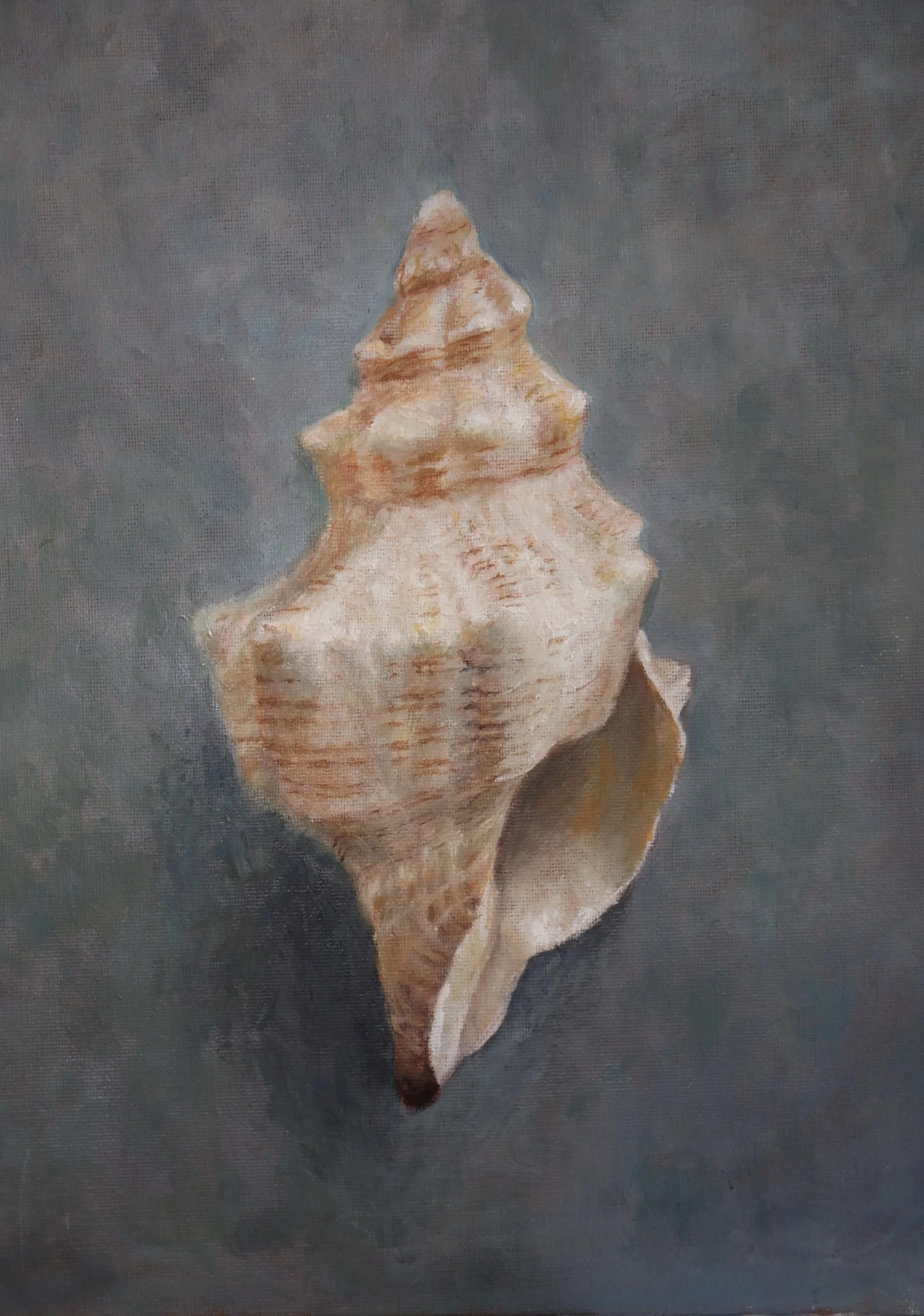 StillLife.jpg