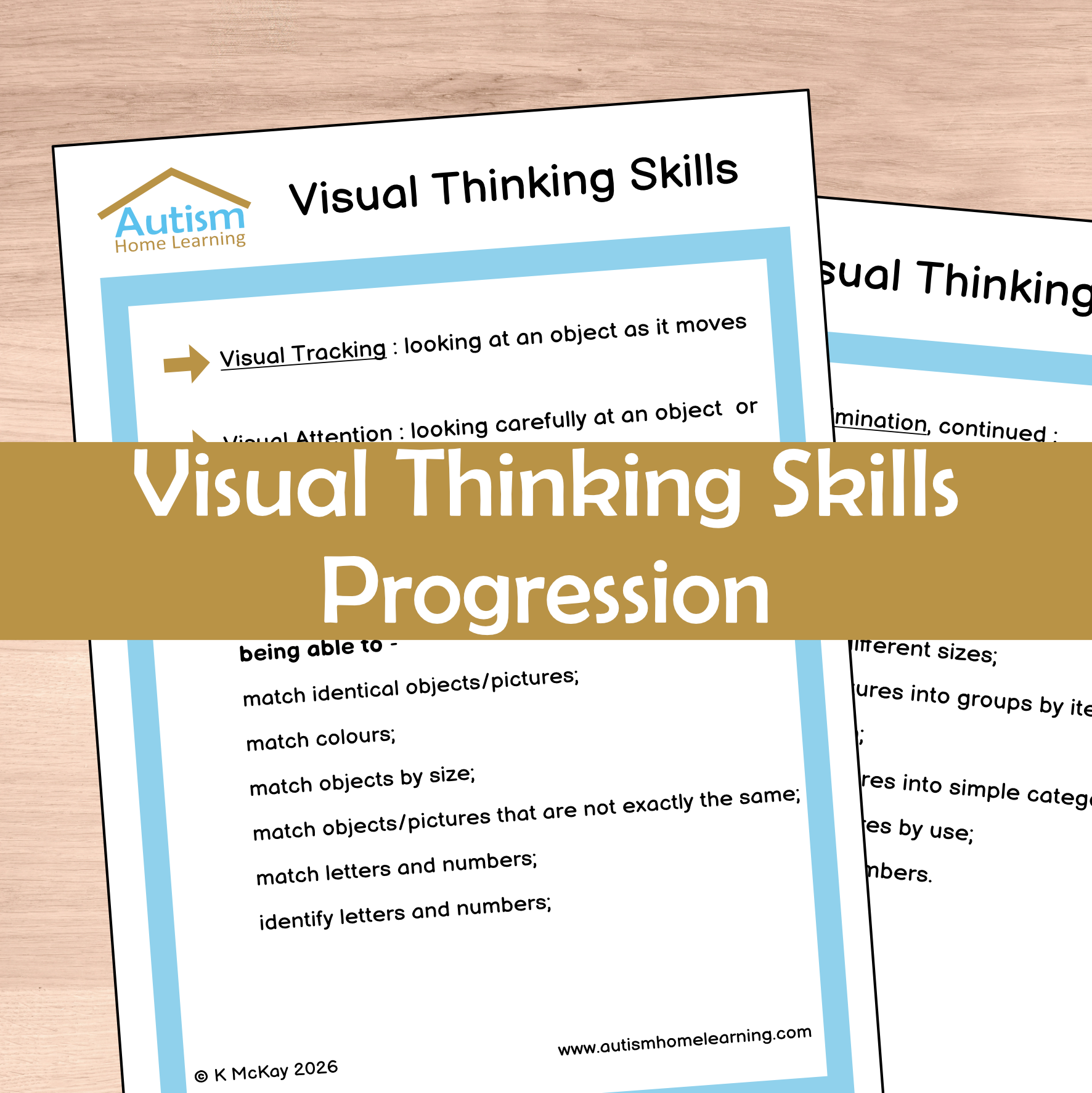 Visual Thinking Skills Progression