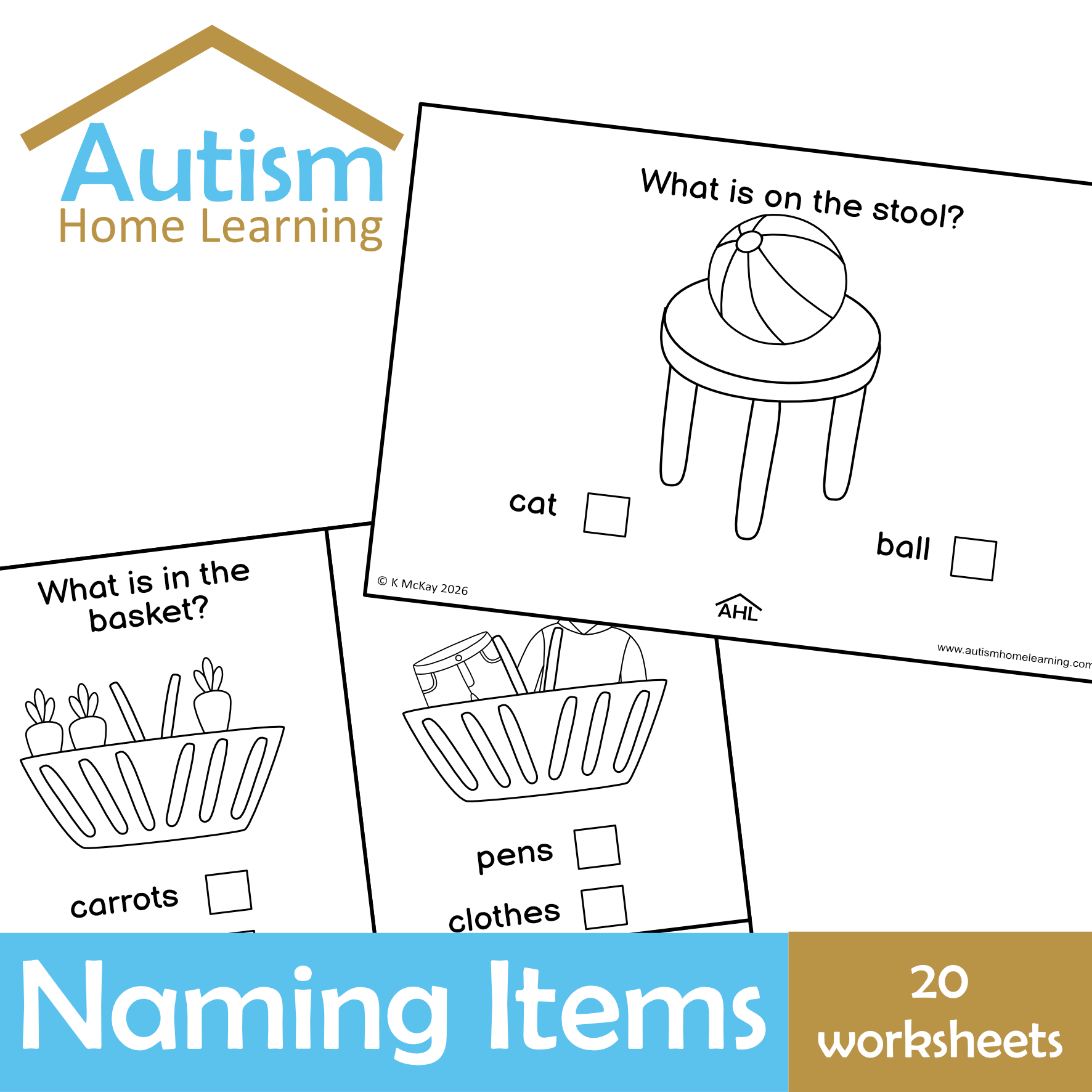 Naming Items Vocabulary Worksheets