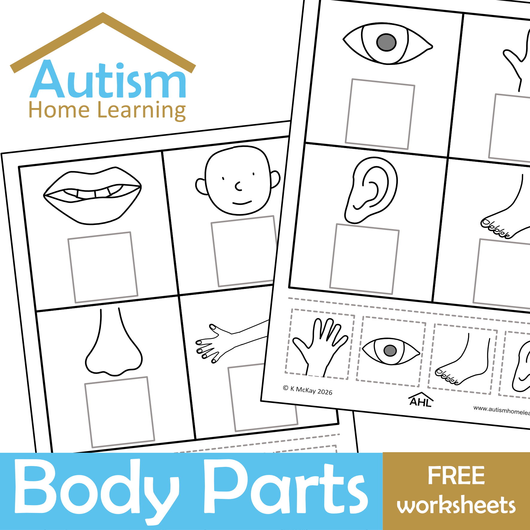 free body parts picture match cut stick cover.png