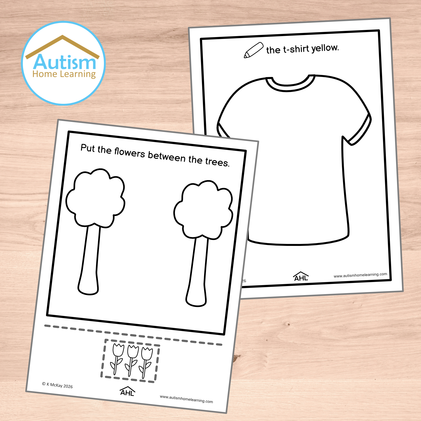 following simple directions worksheets cover 2.png
