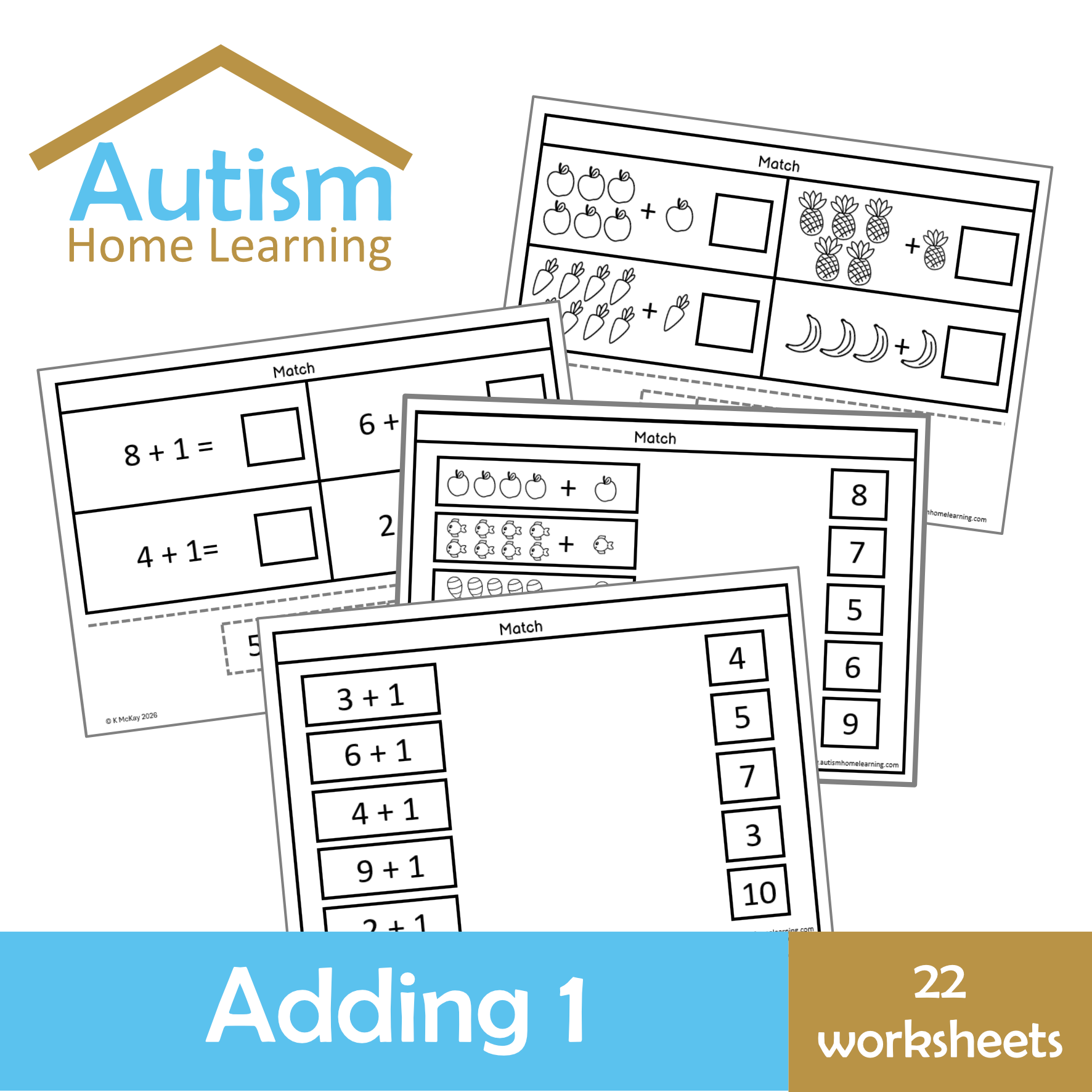 Adding 1 Worksheets