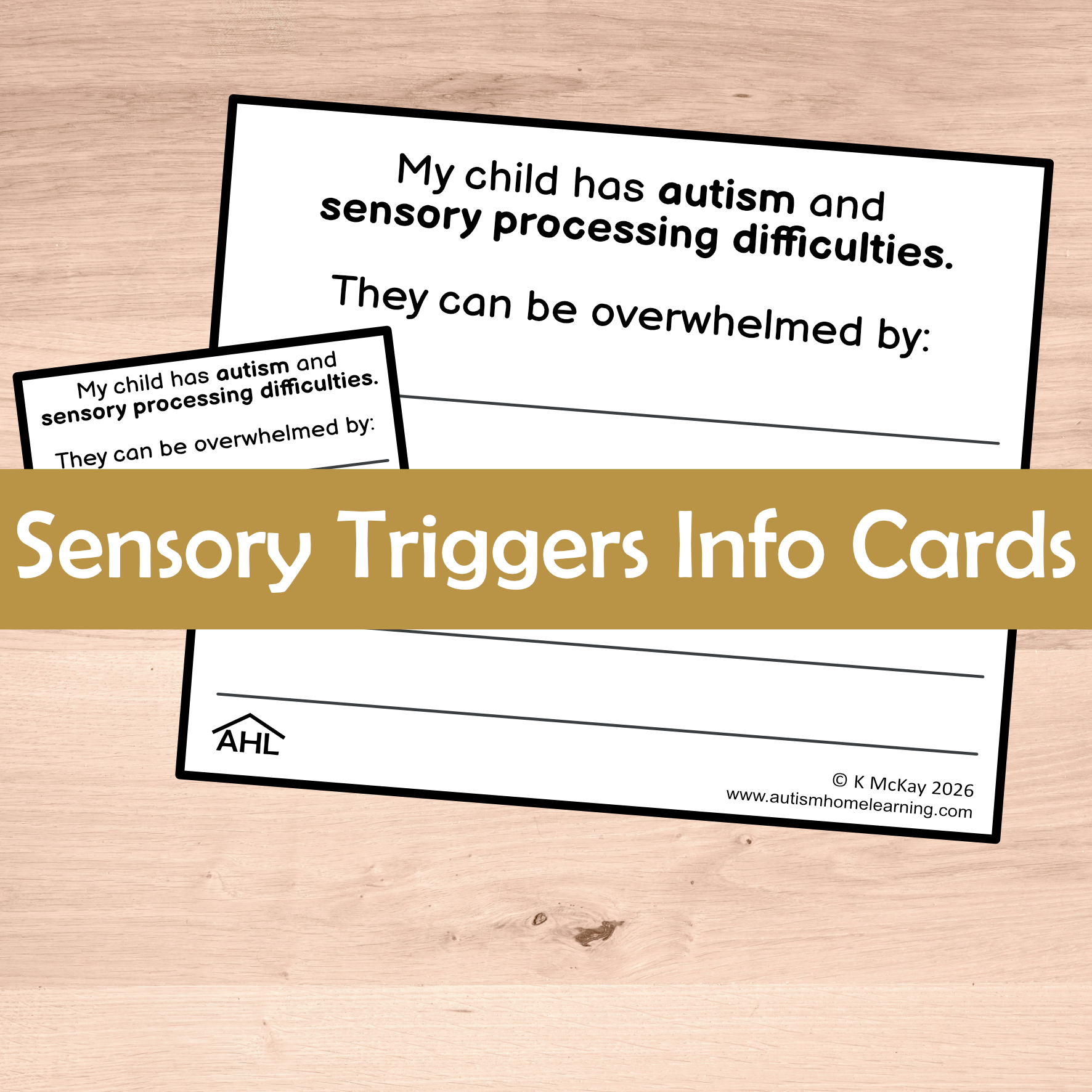 Autism Sensory Trigger Cards