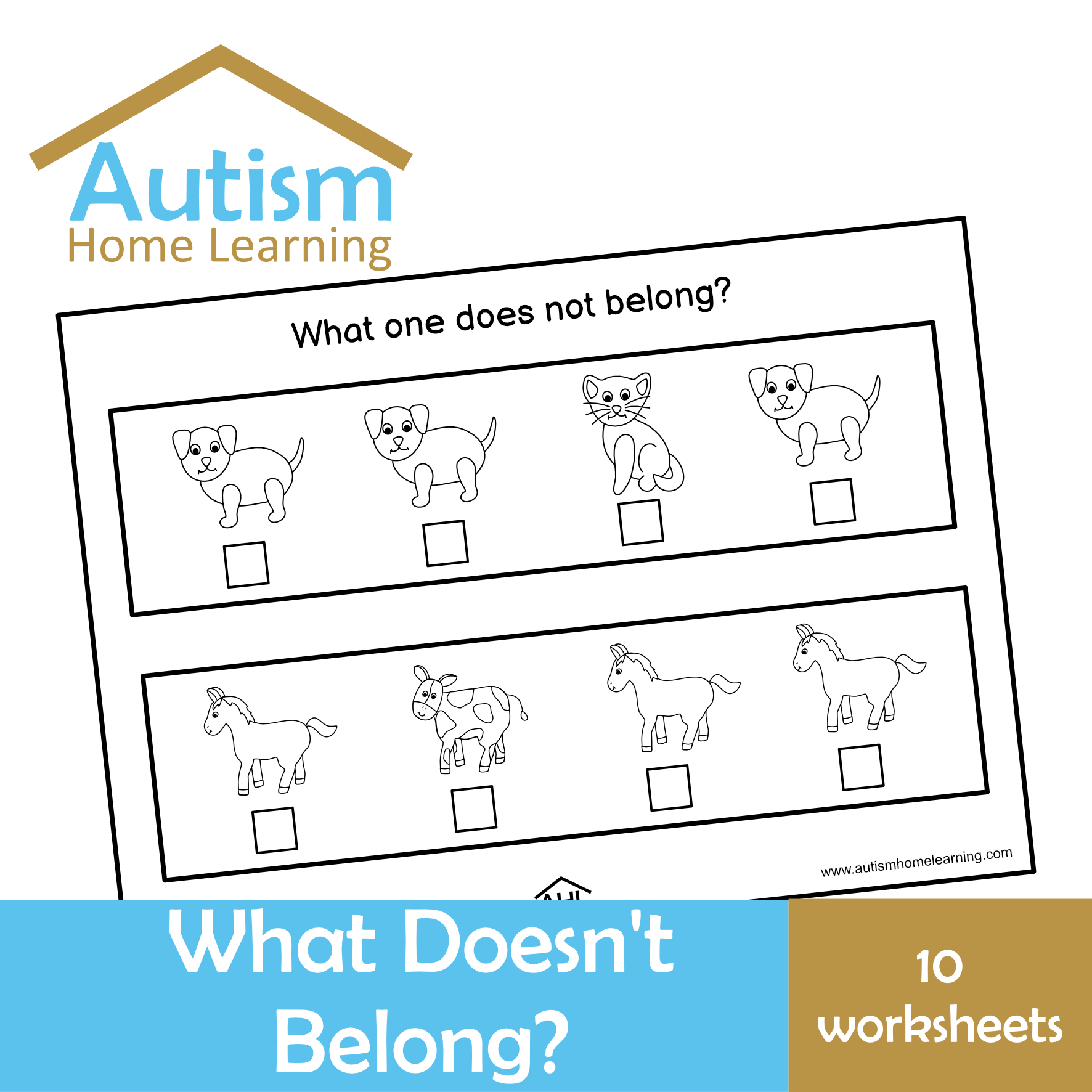 What Doesn't Belong Worksheets