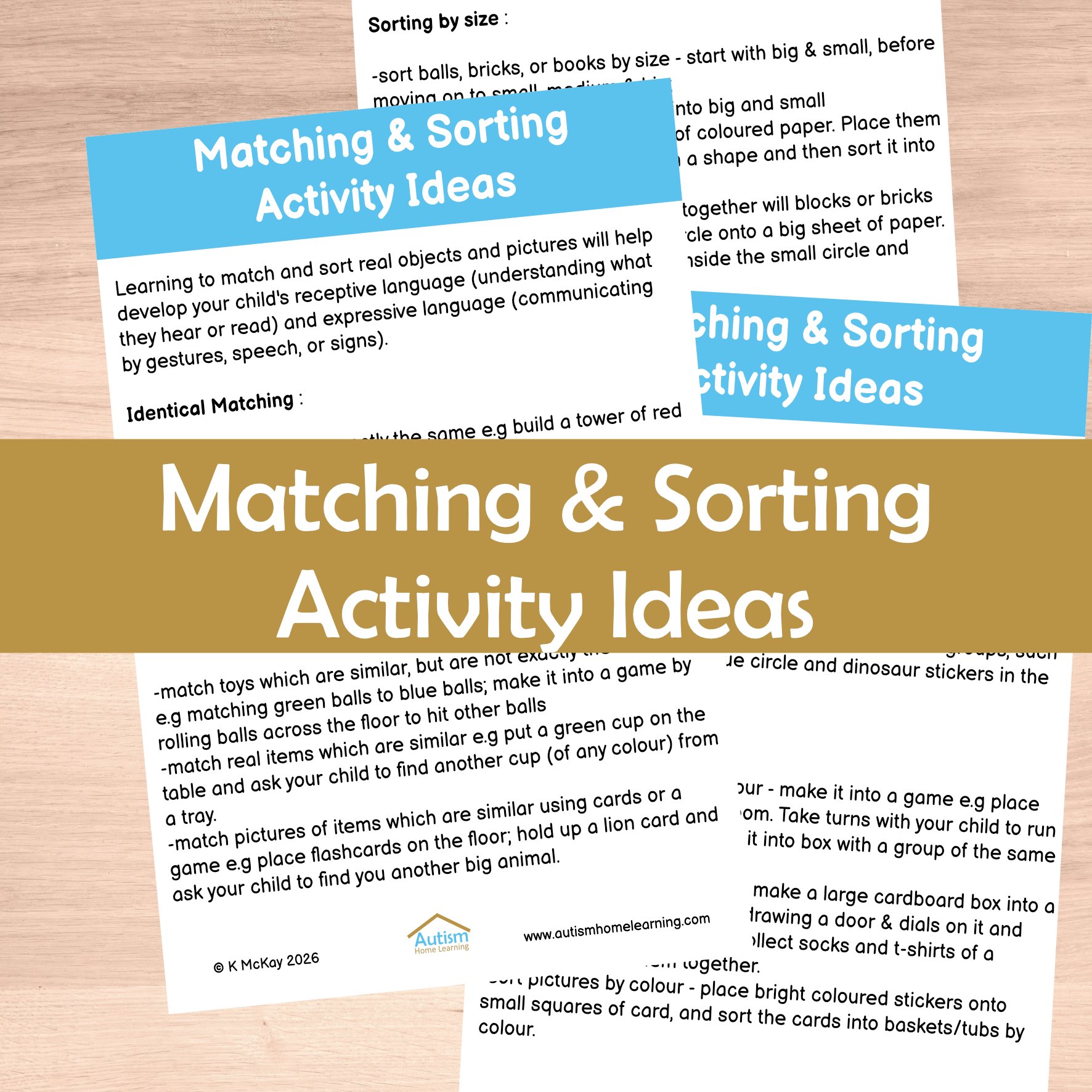 Matching + Sorting Activity Ideas